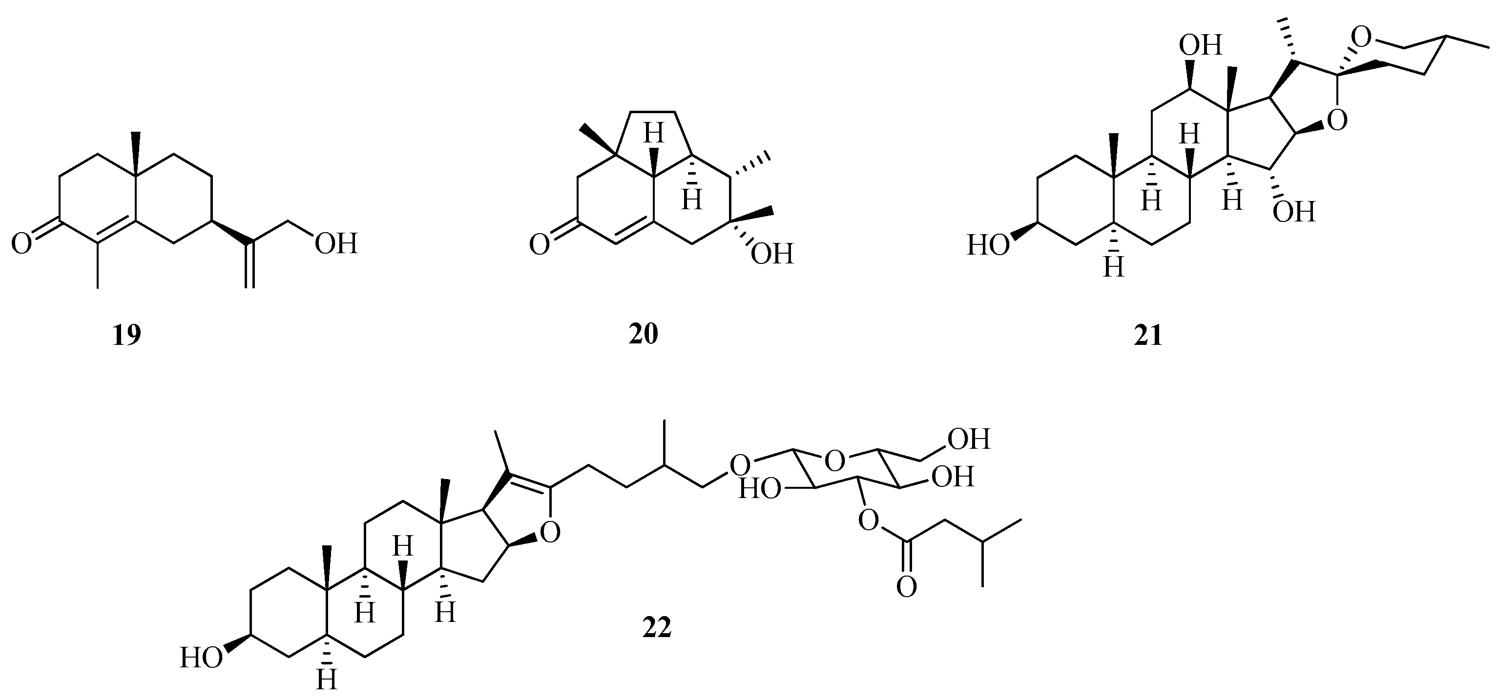 Plants 13 02044 g004
