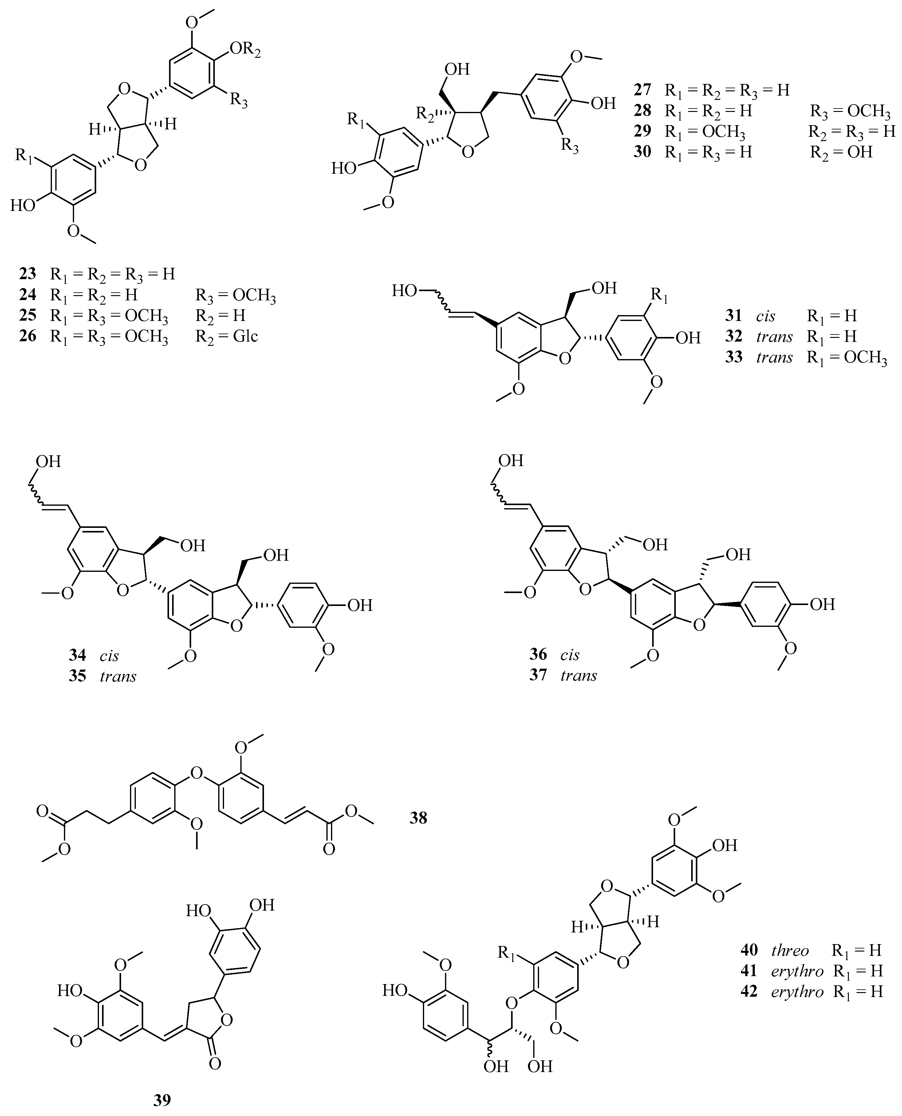 Plants 13 02044 g005