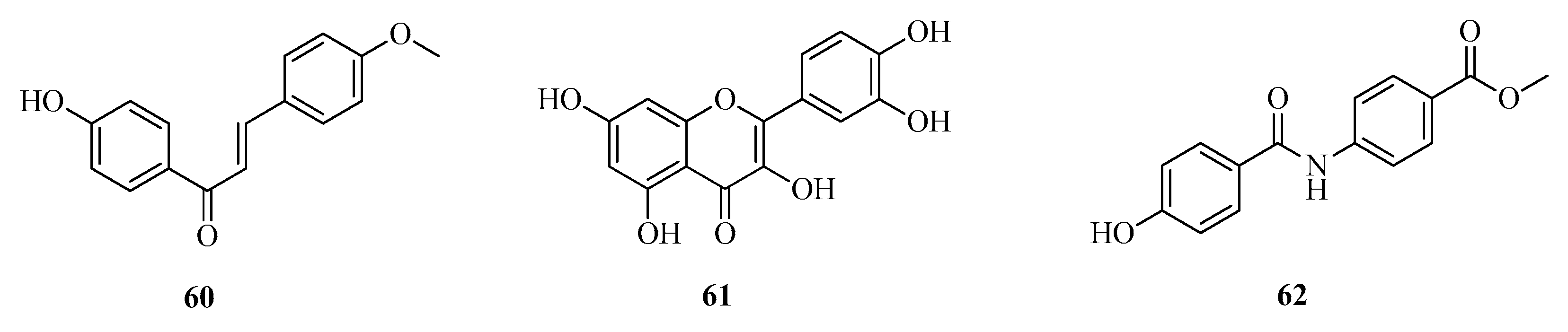 Plants 13 02044 g007