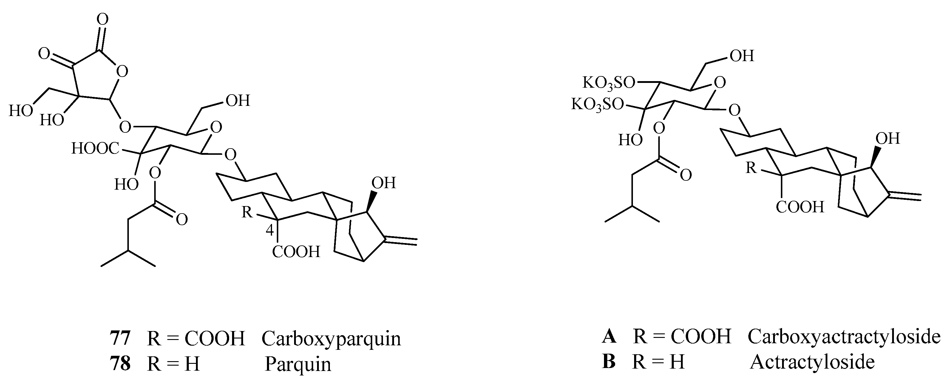Plants 13 02044 g009