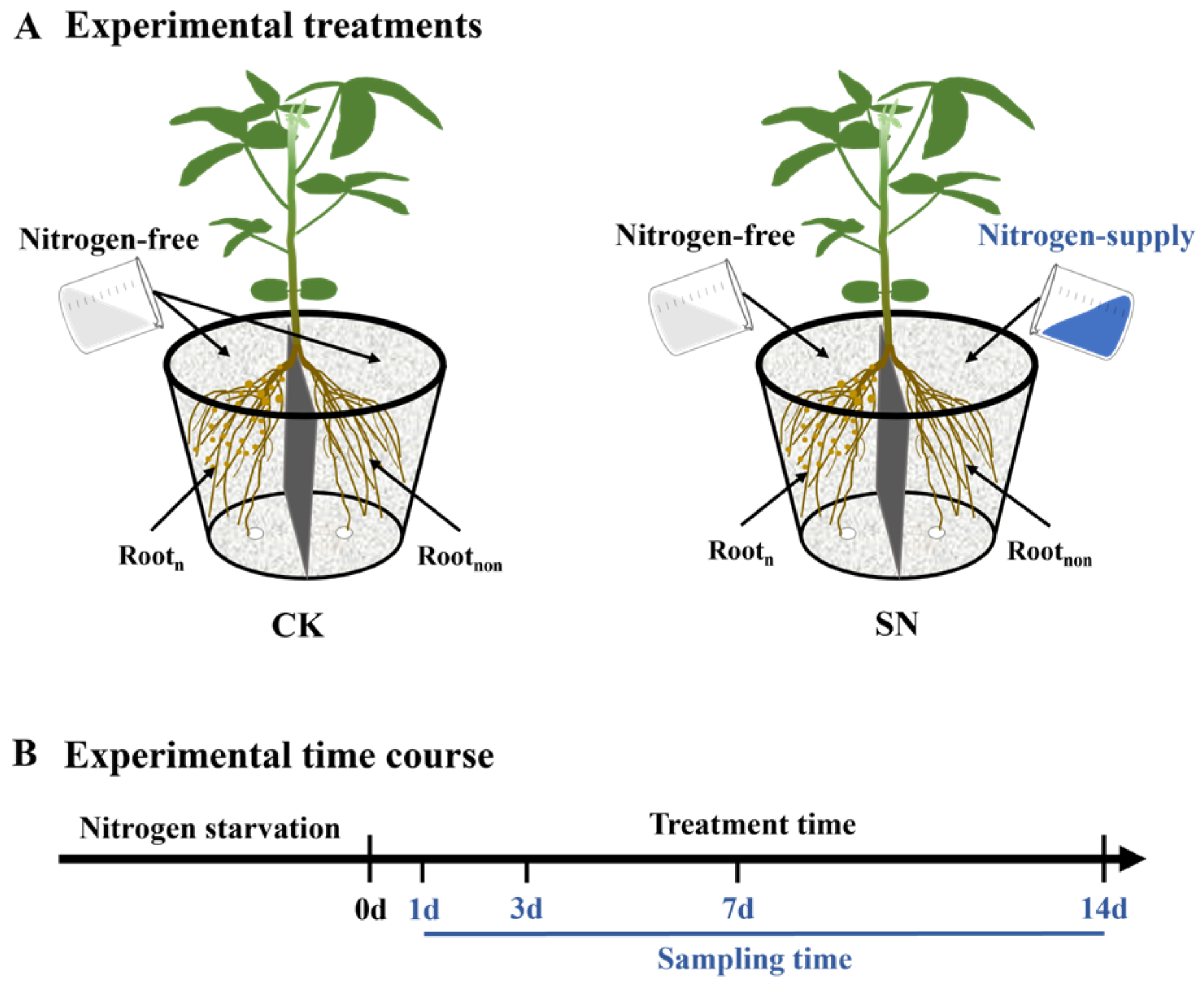 Plants 13 02045 g006