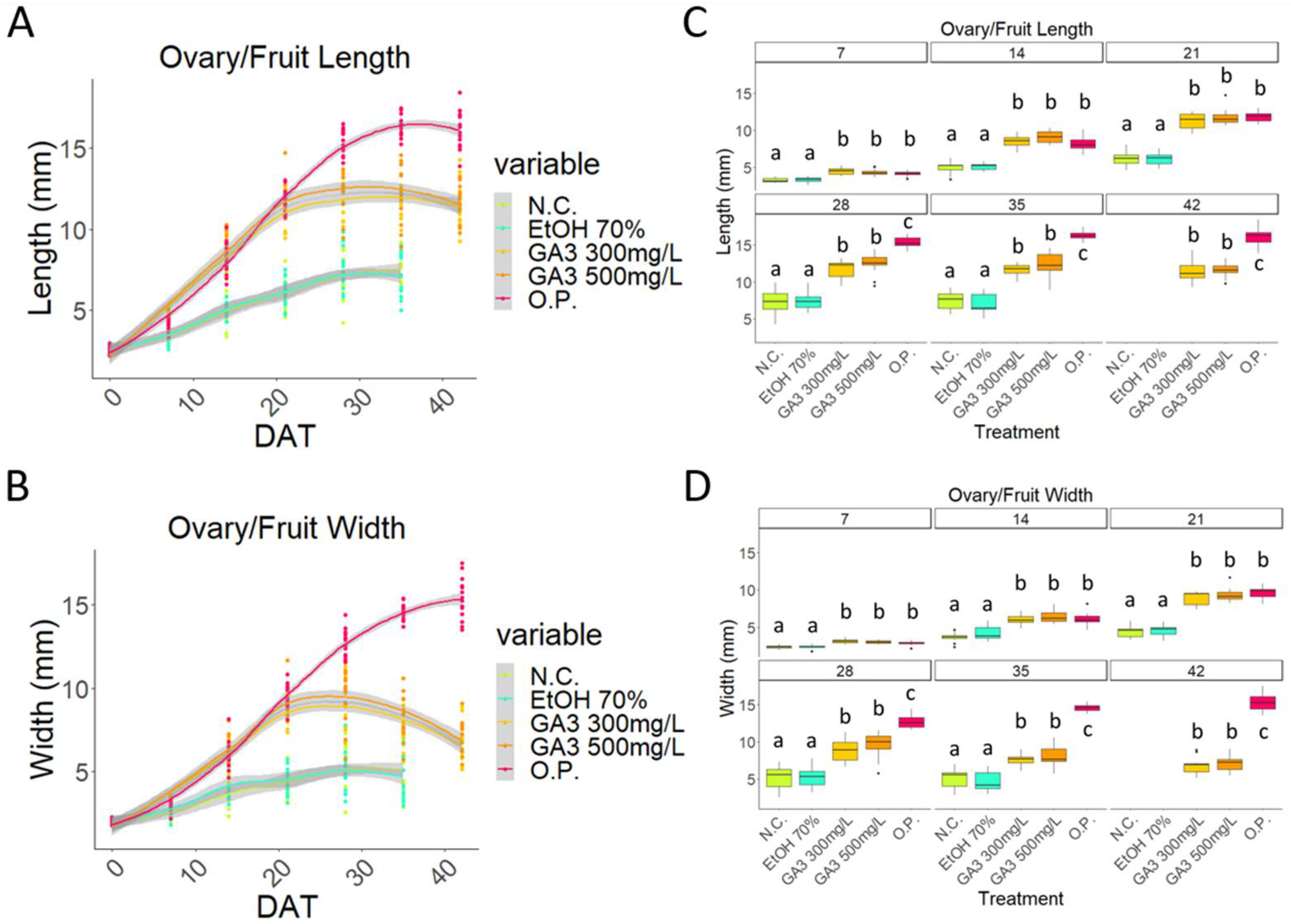 Plants 13 02052 g002