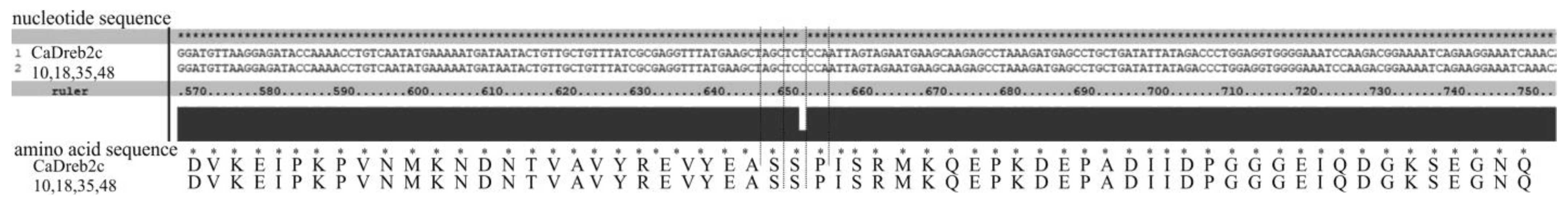 Plants 13 02066 g003