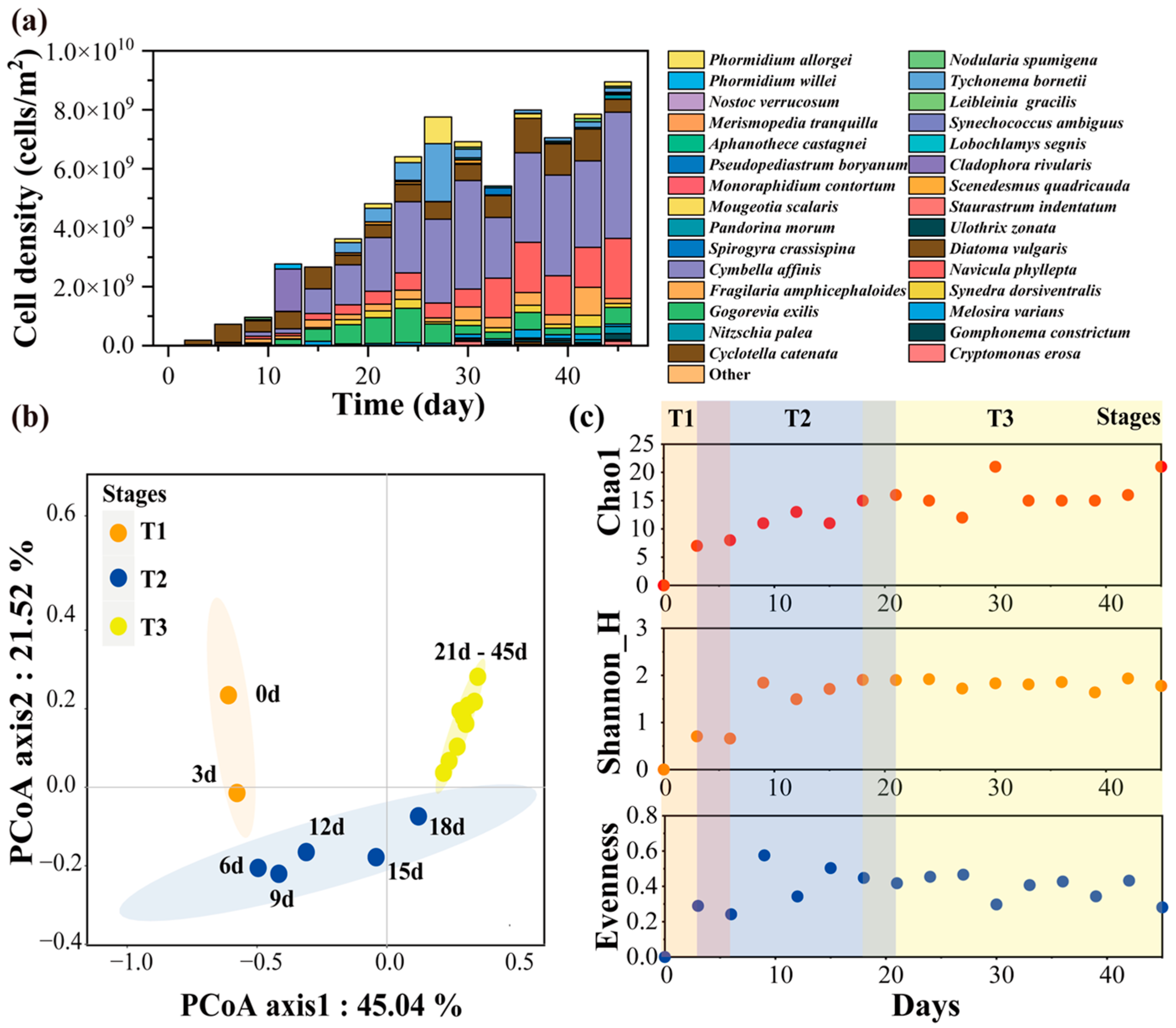 Plants 13 02067 g001 Plants 13 02067 g001