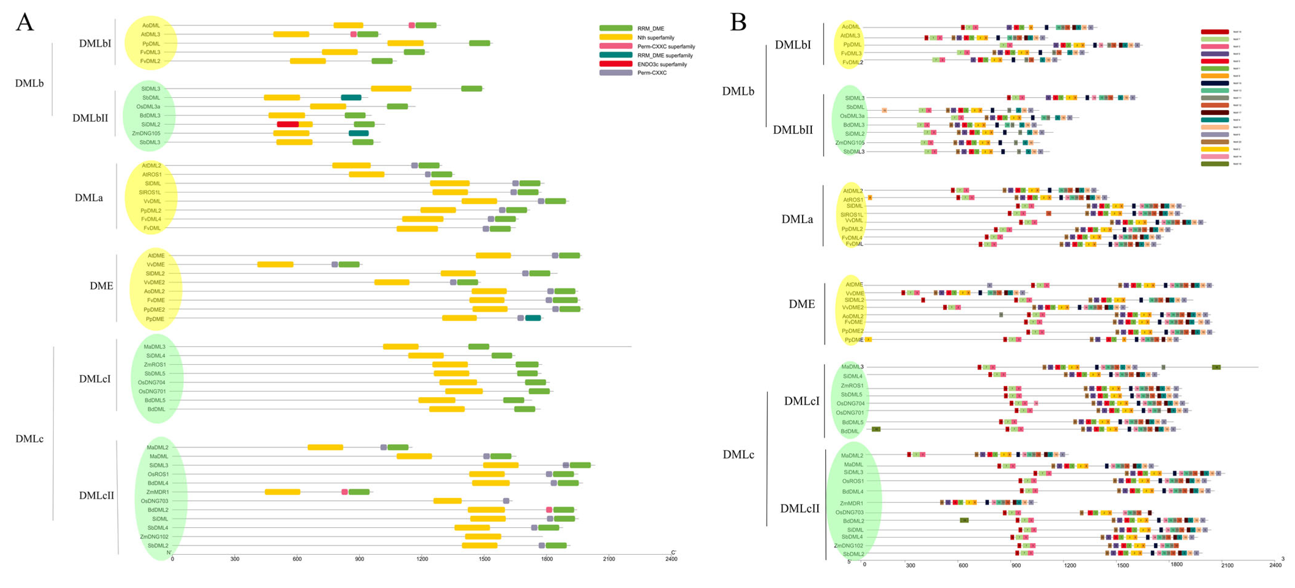 Plants 13 02068 g002