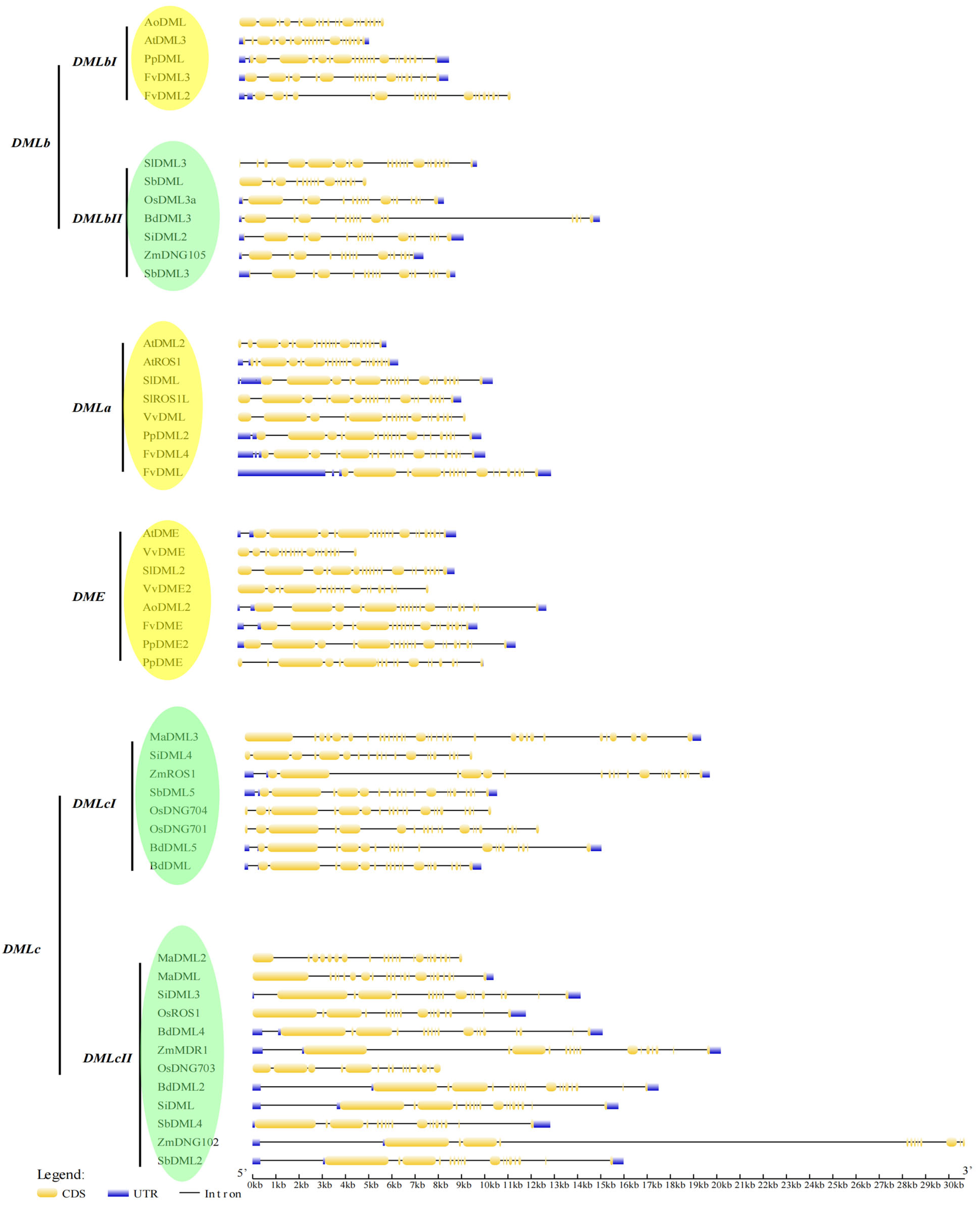 Plants 13 02068 g003
