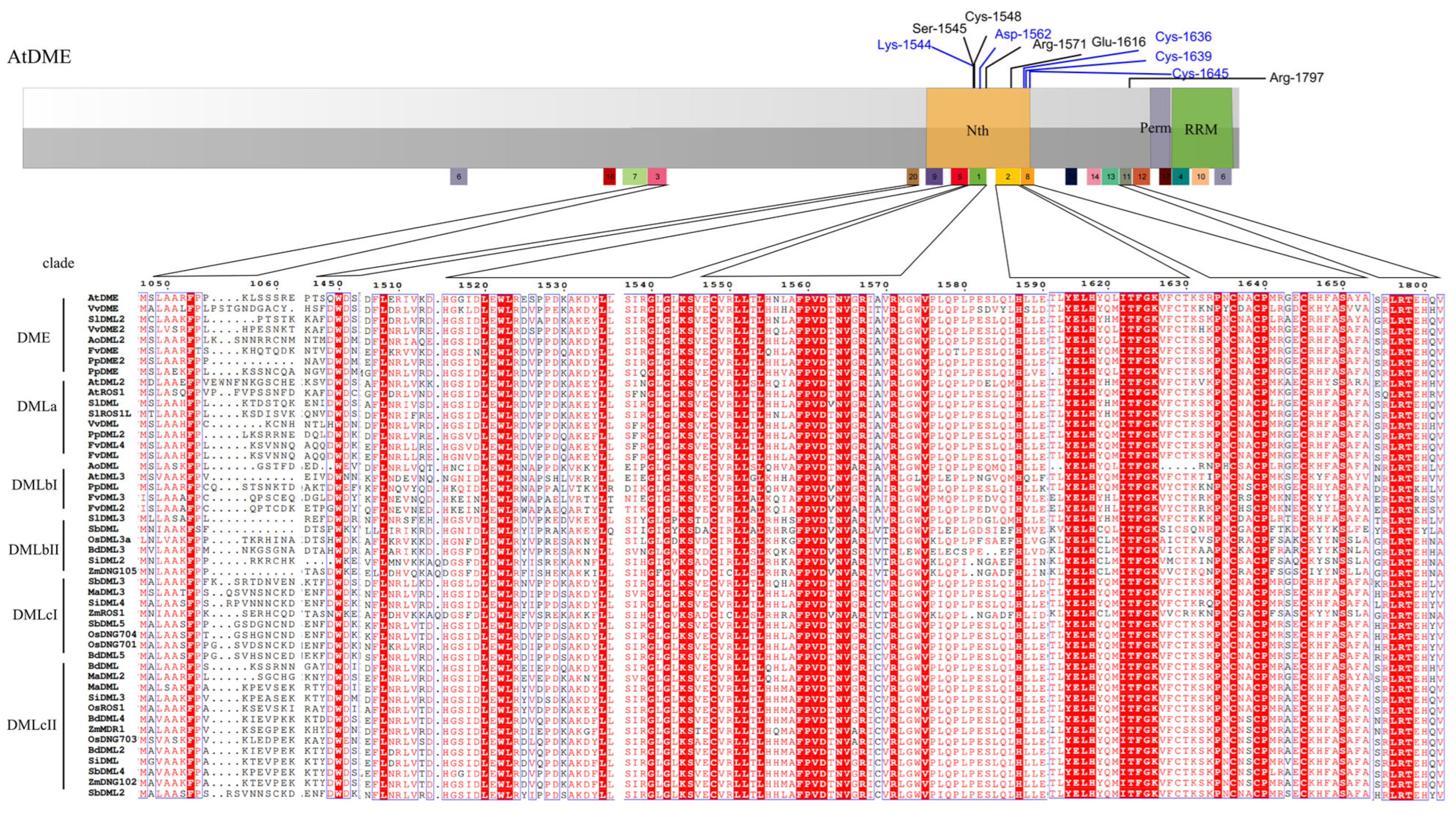 Plants 13 02068 g004