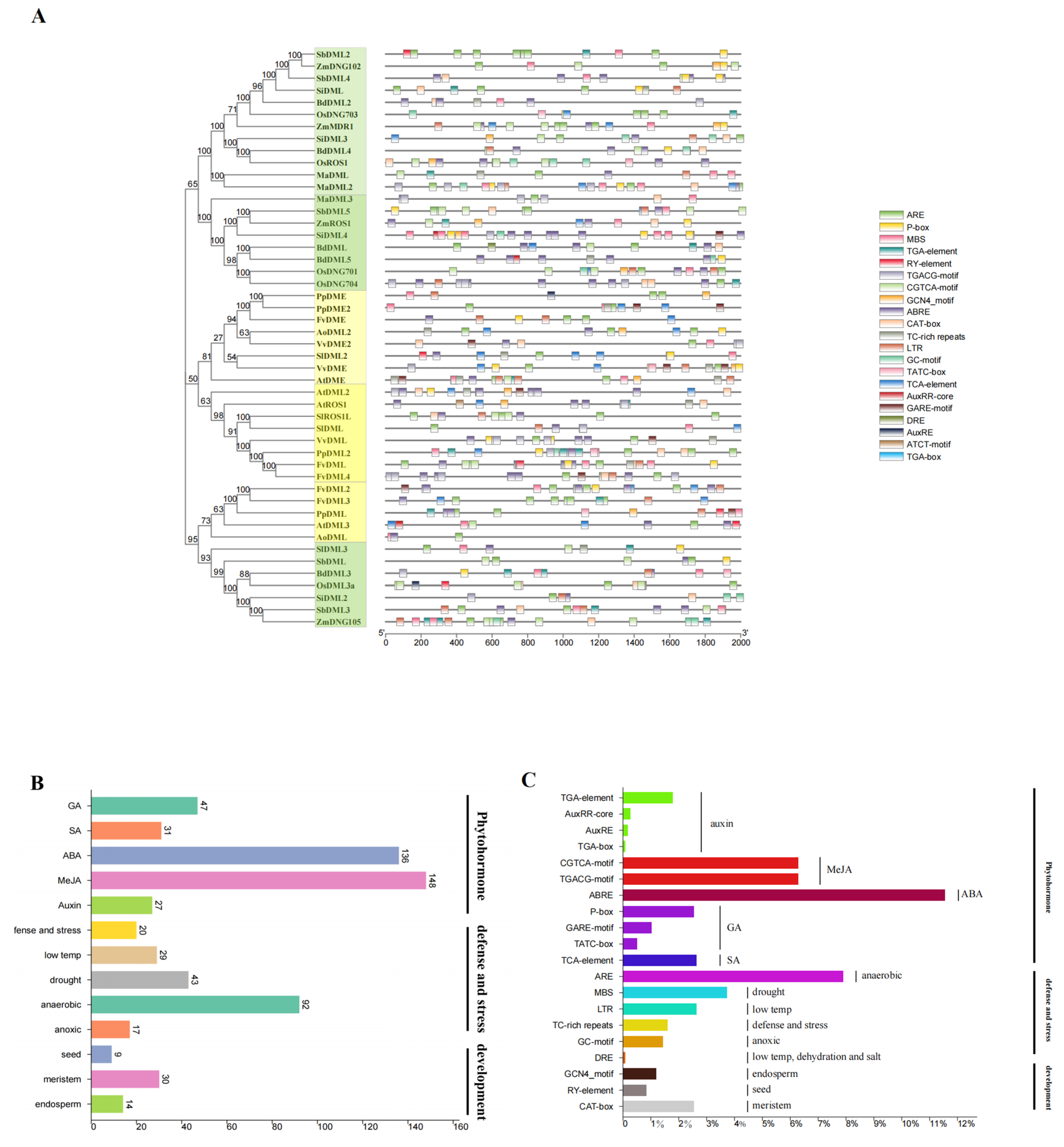Plants 13 02068 g006