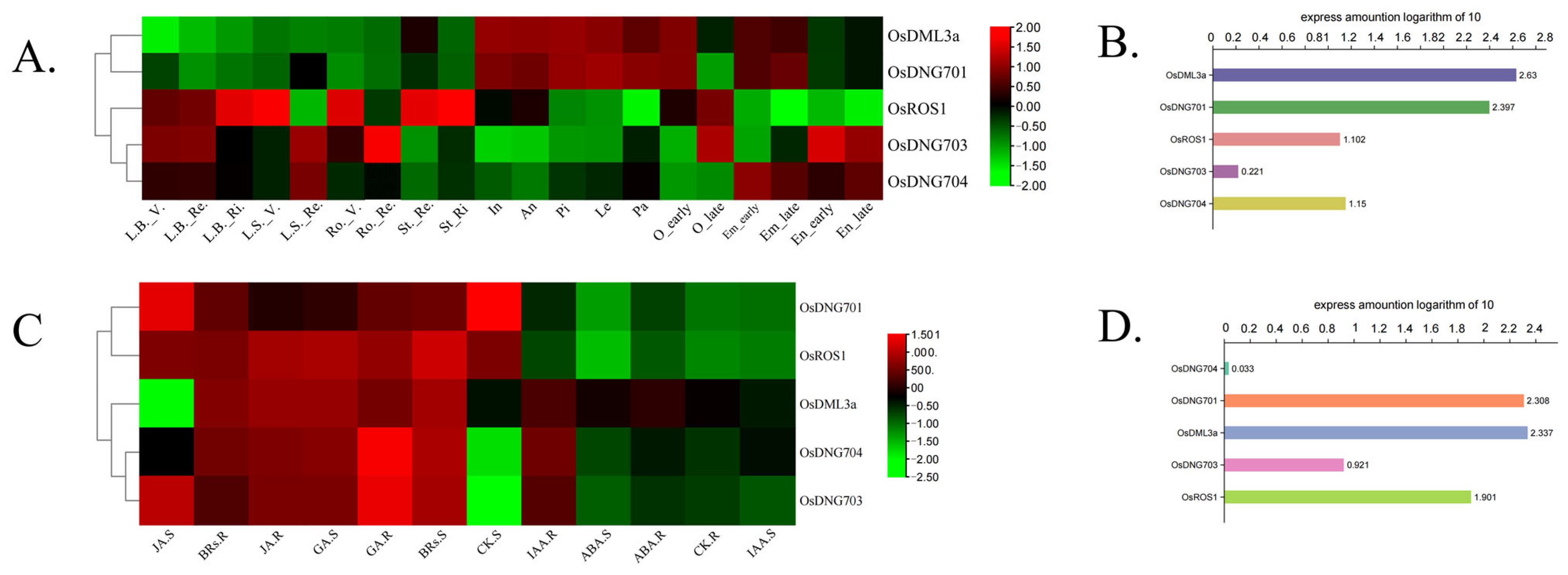 Plants 13 02068 g007