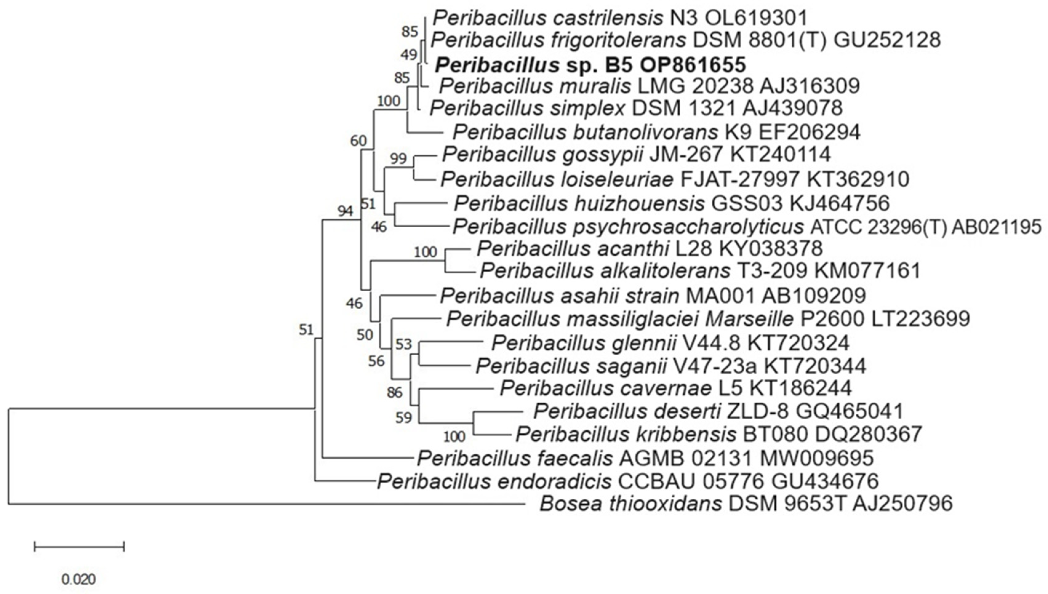 Plants 13 02075 g009