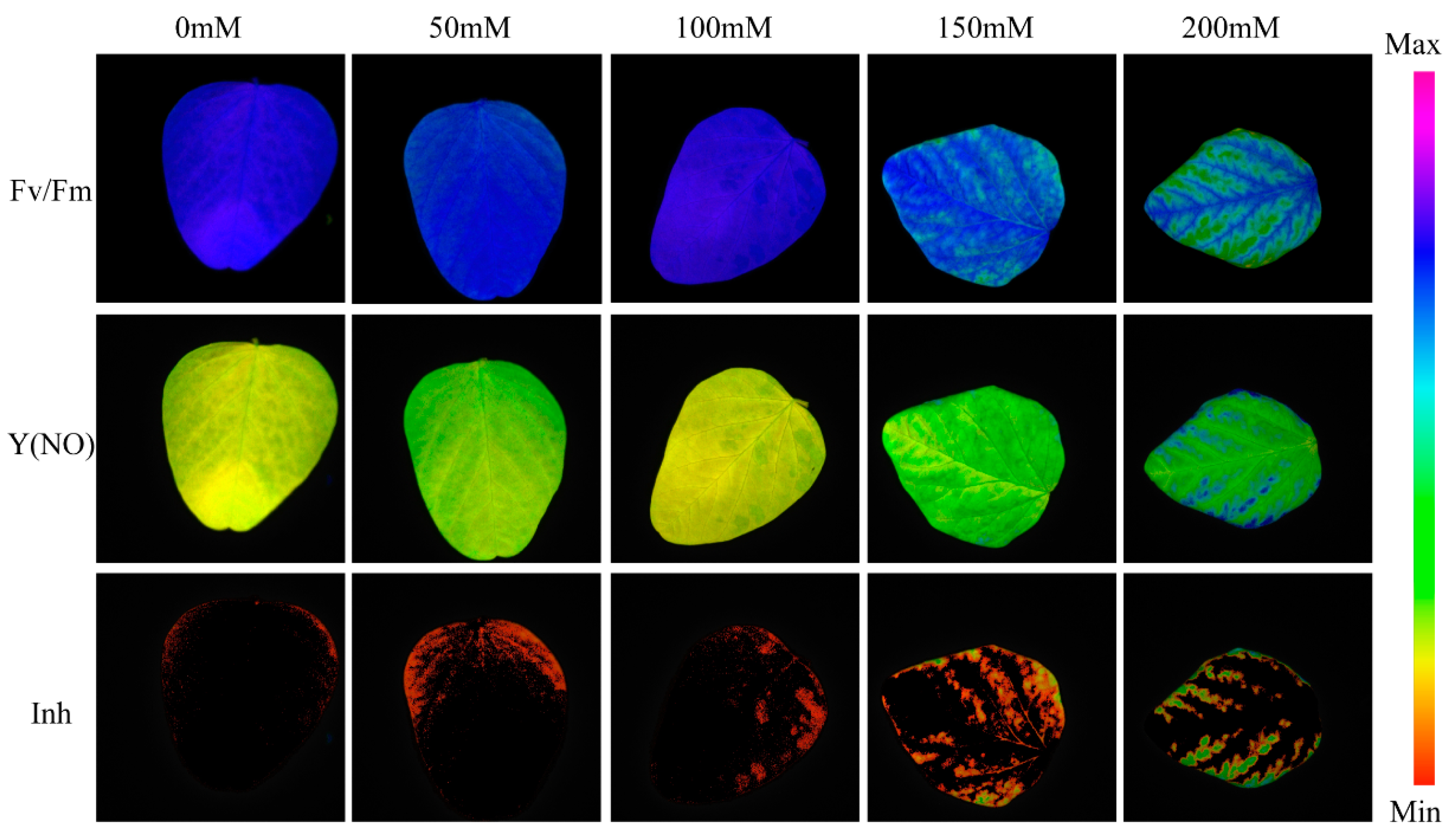 Plants 13 02089 g002