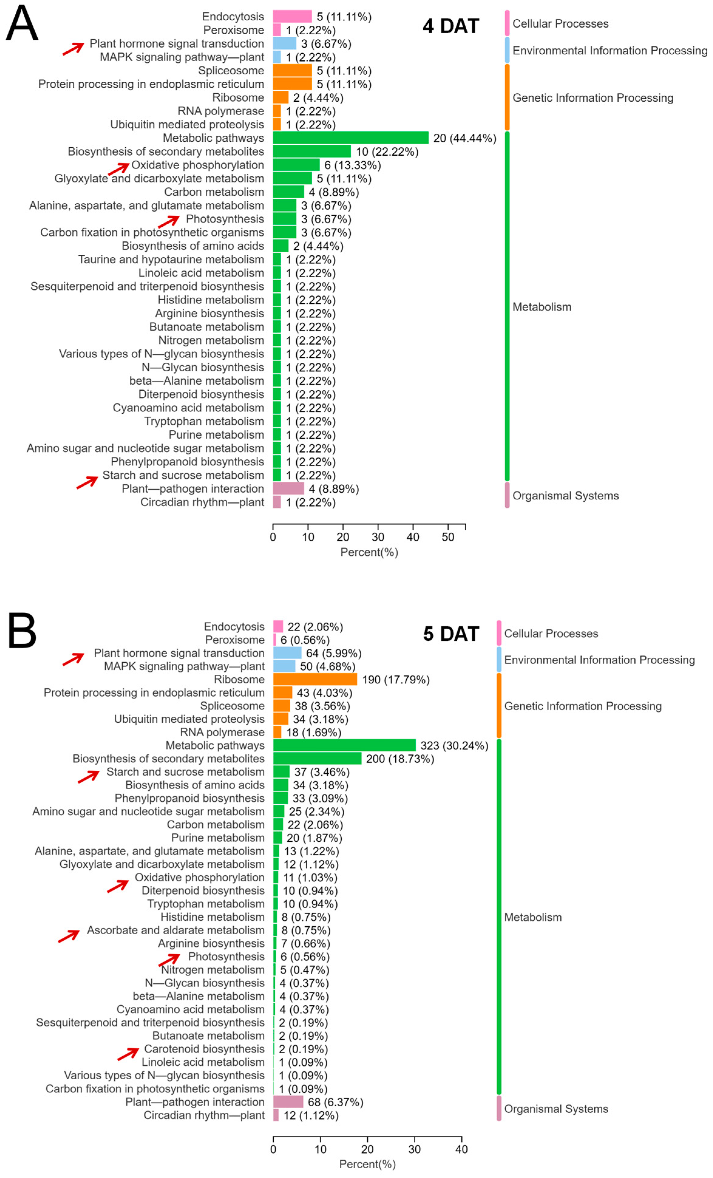 Plants 13 02090 g004