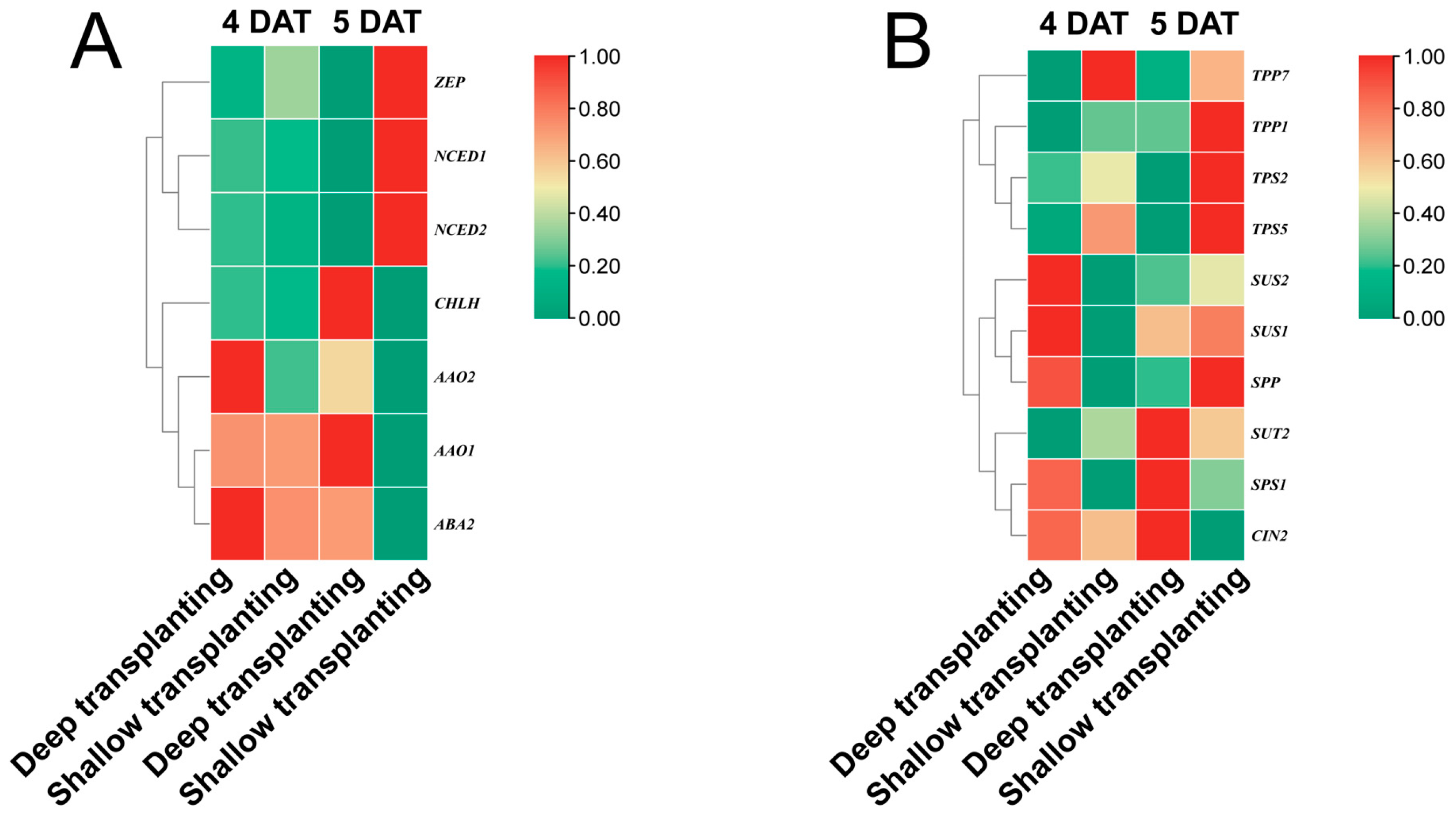 Plants 13 02090 g005