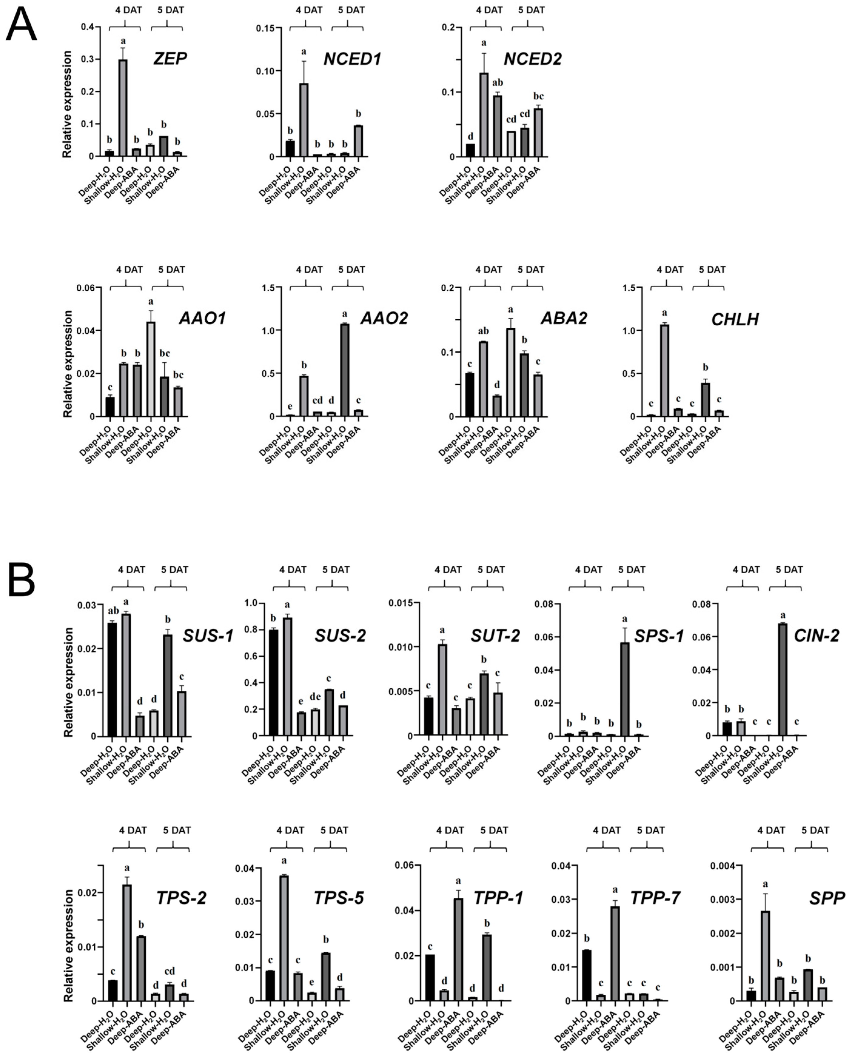 Plants 13 02090 g007