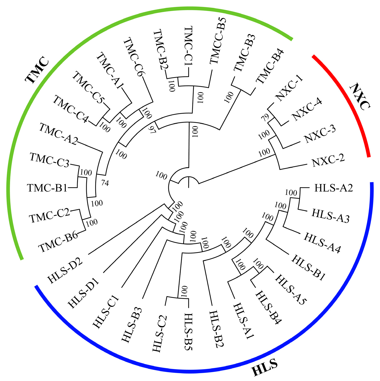 Plants 13 02093 g001