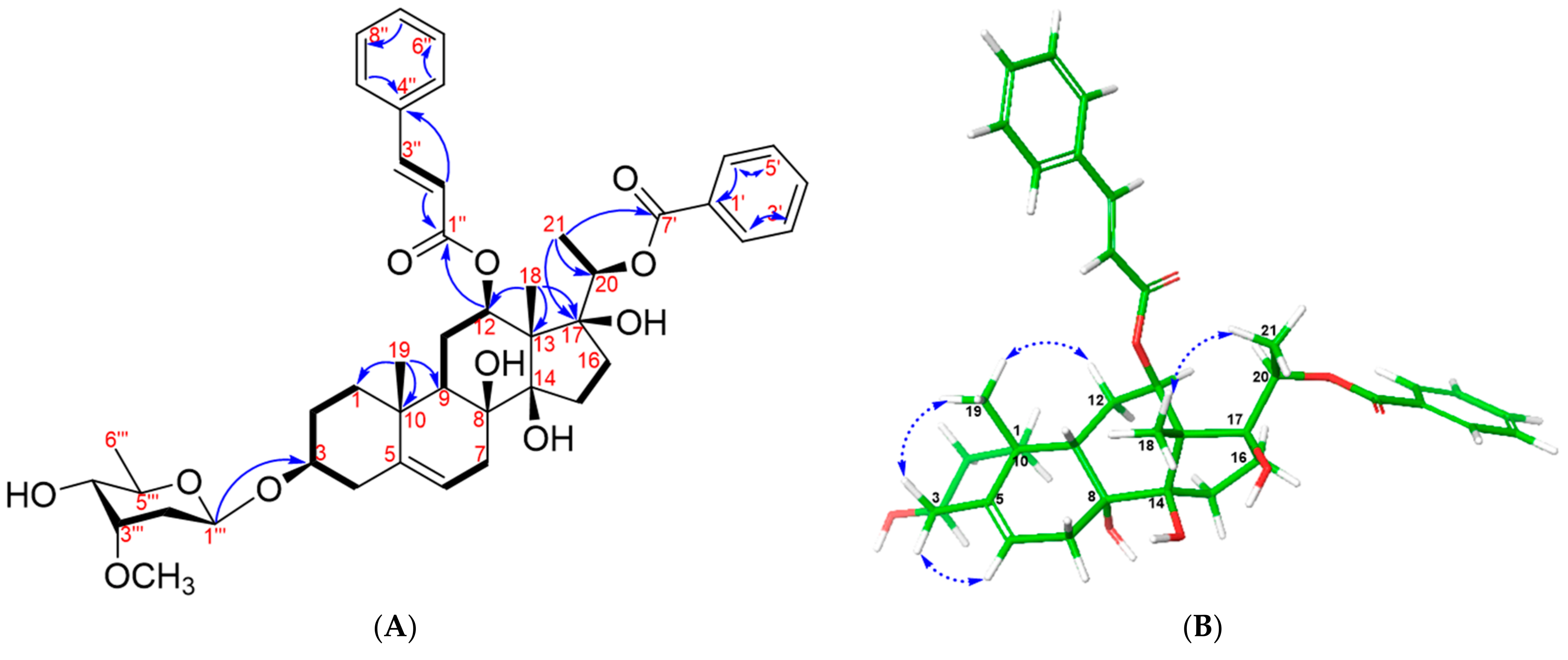 Plants 13 02100 g002