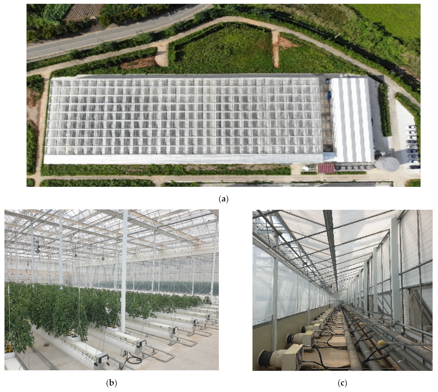 Plants 13 02116 g003 Plants 13 02116 g003