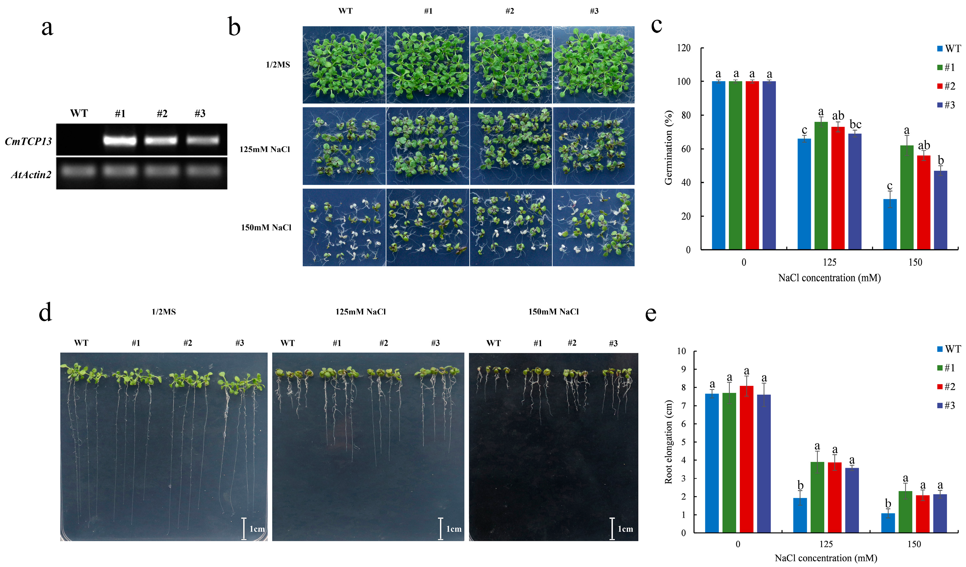 Plants 13 02118 g004