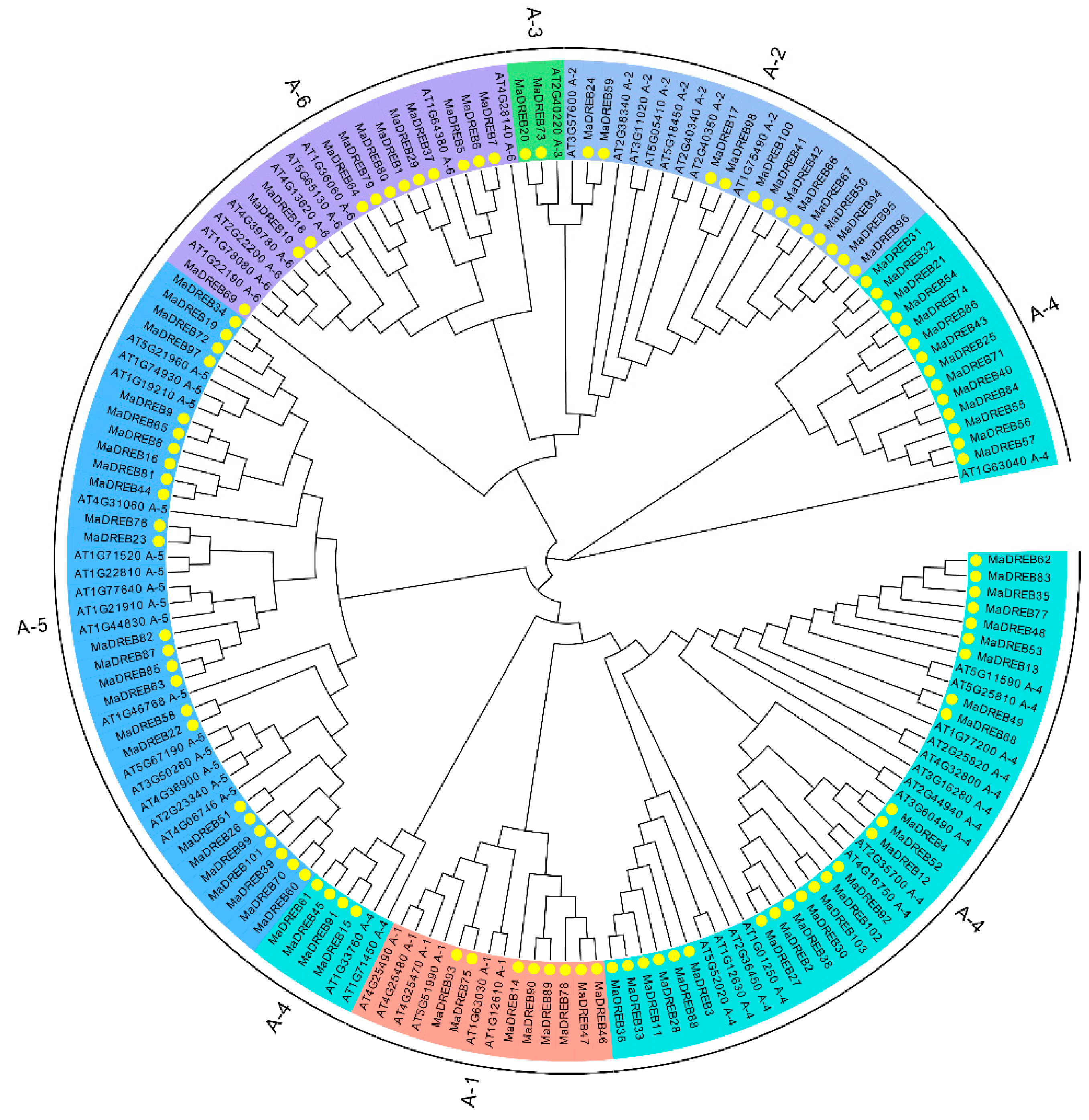 Plants 13 02119 g001