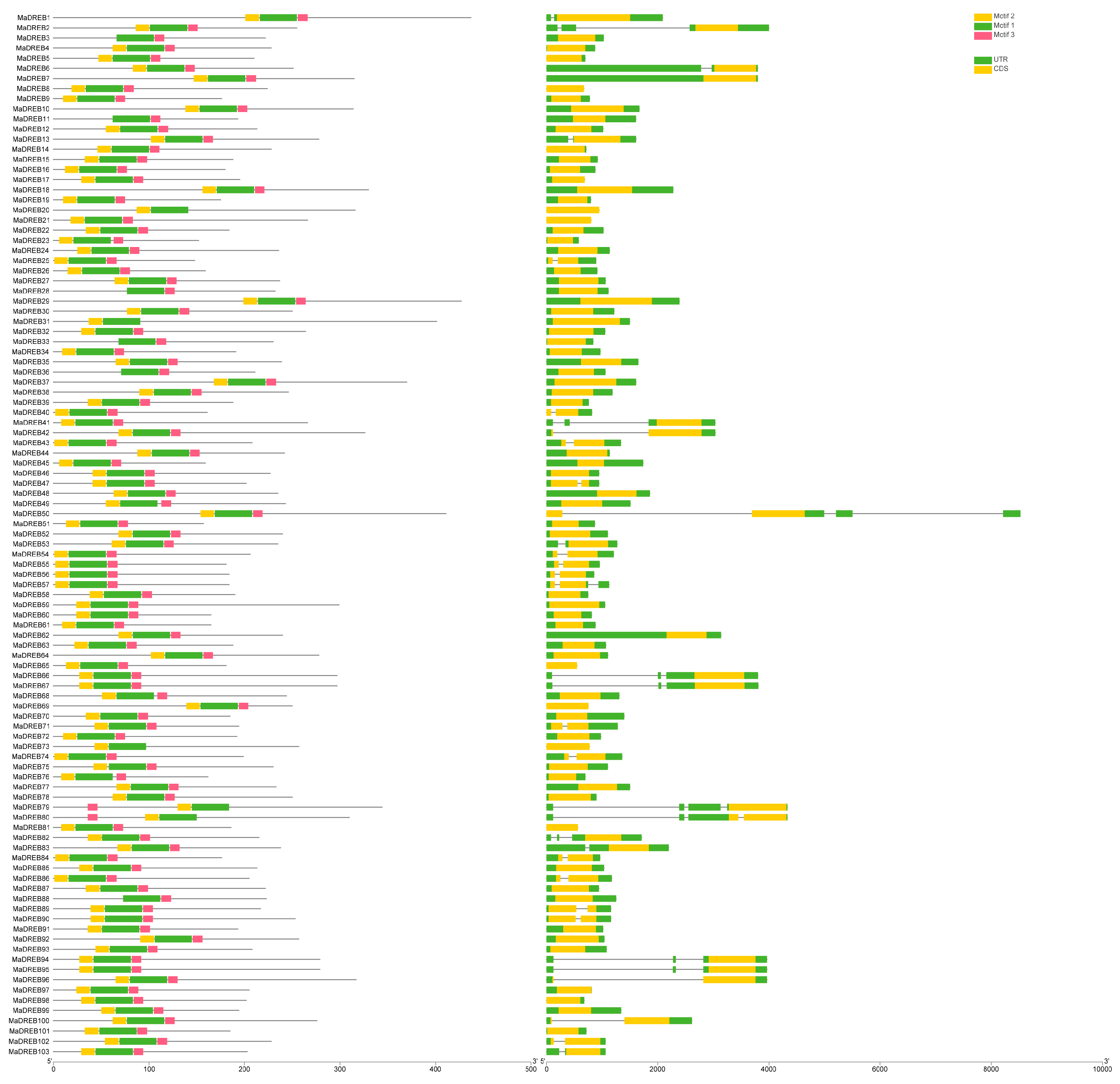 Plants 13 02119 g002