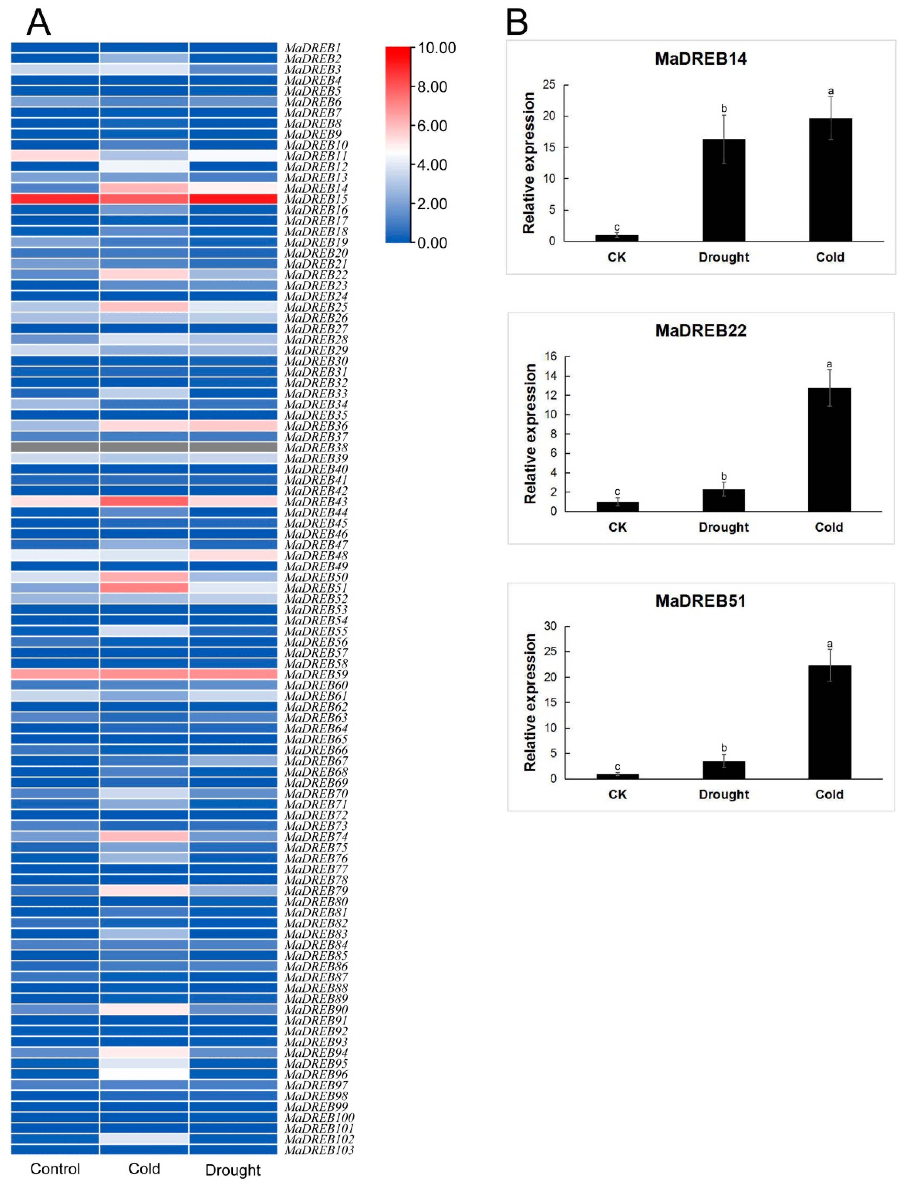 Plants 13 02119 g006