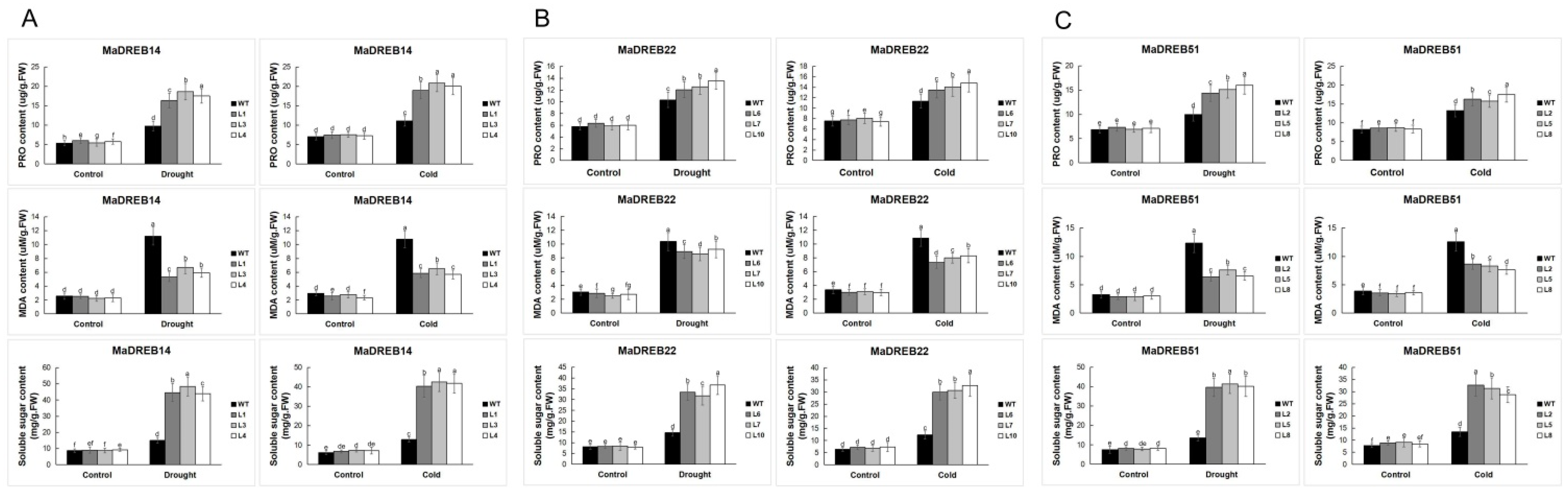 Plants 13 02119 g009
