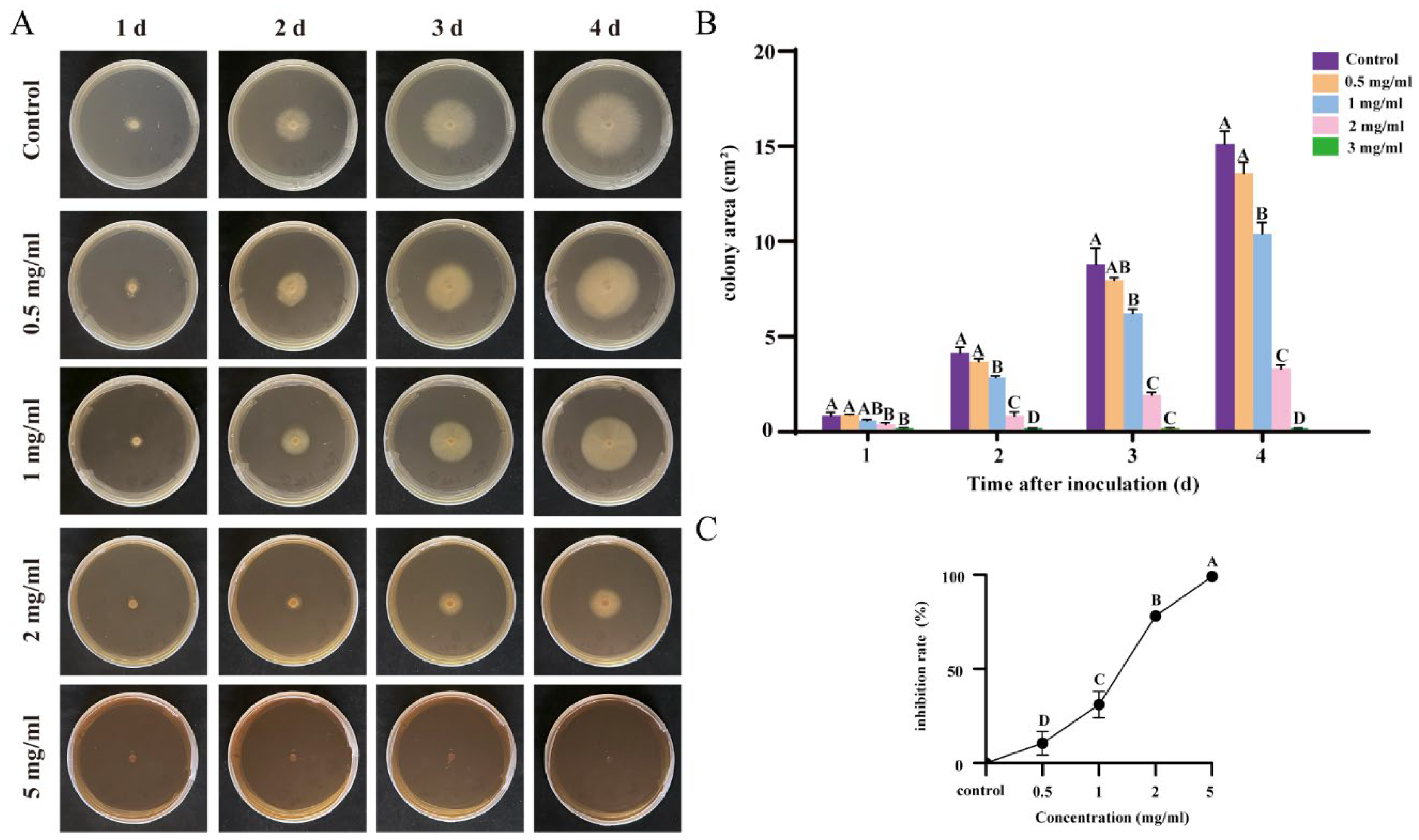 Plants 13 02122 g002