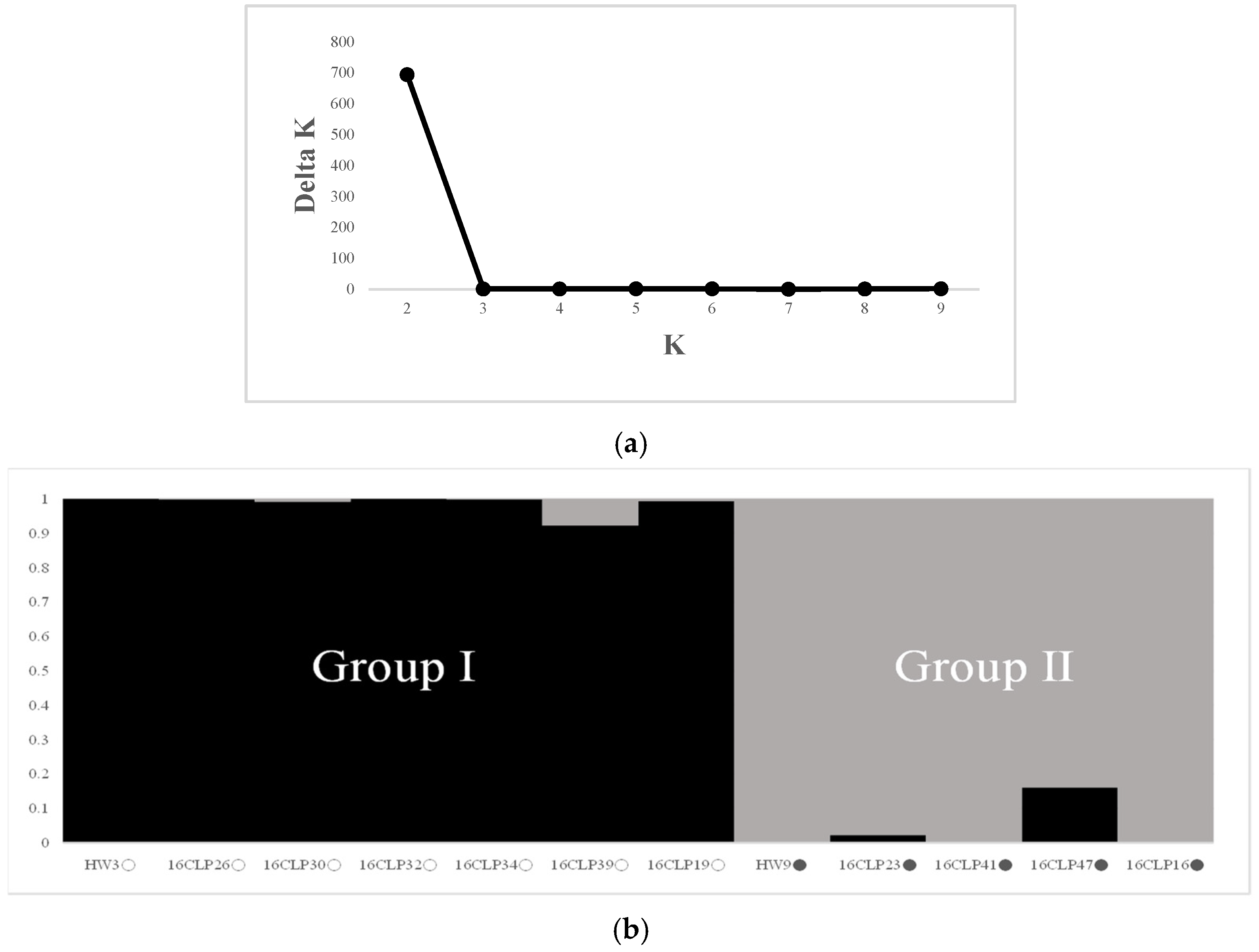 Plants 13 02126 g001