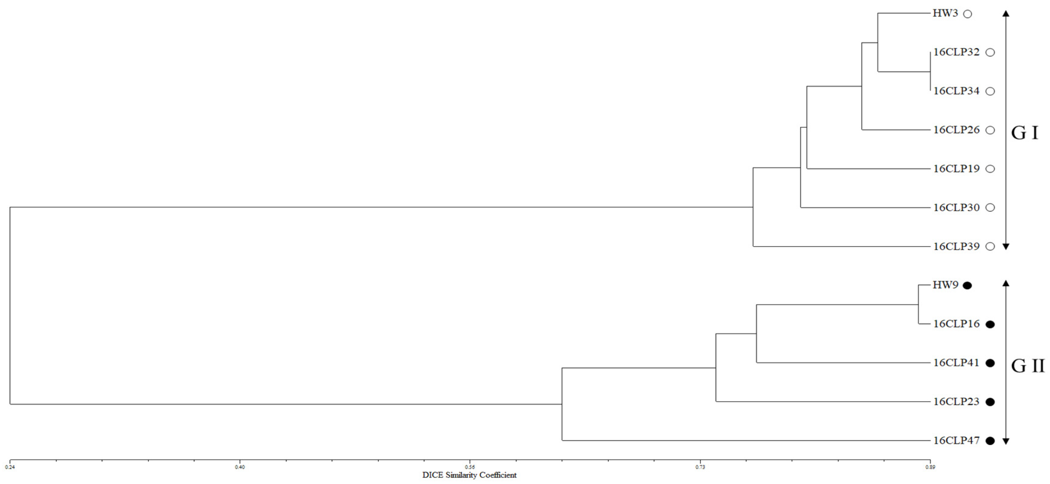 Plants 13 02126 g002