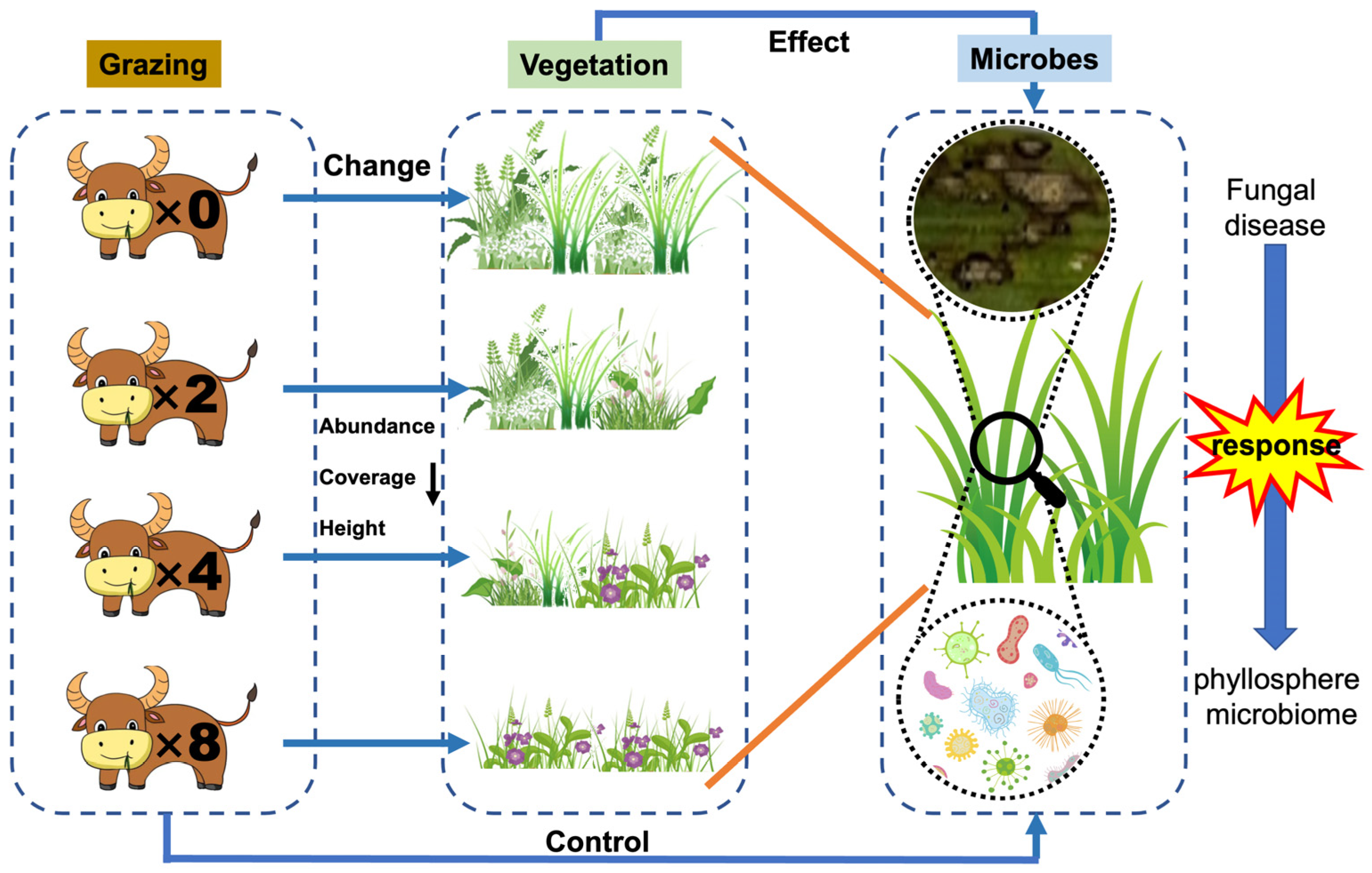 Plants 13 02128 g008
