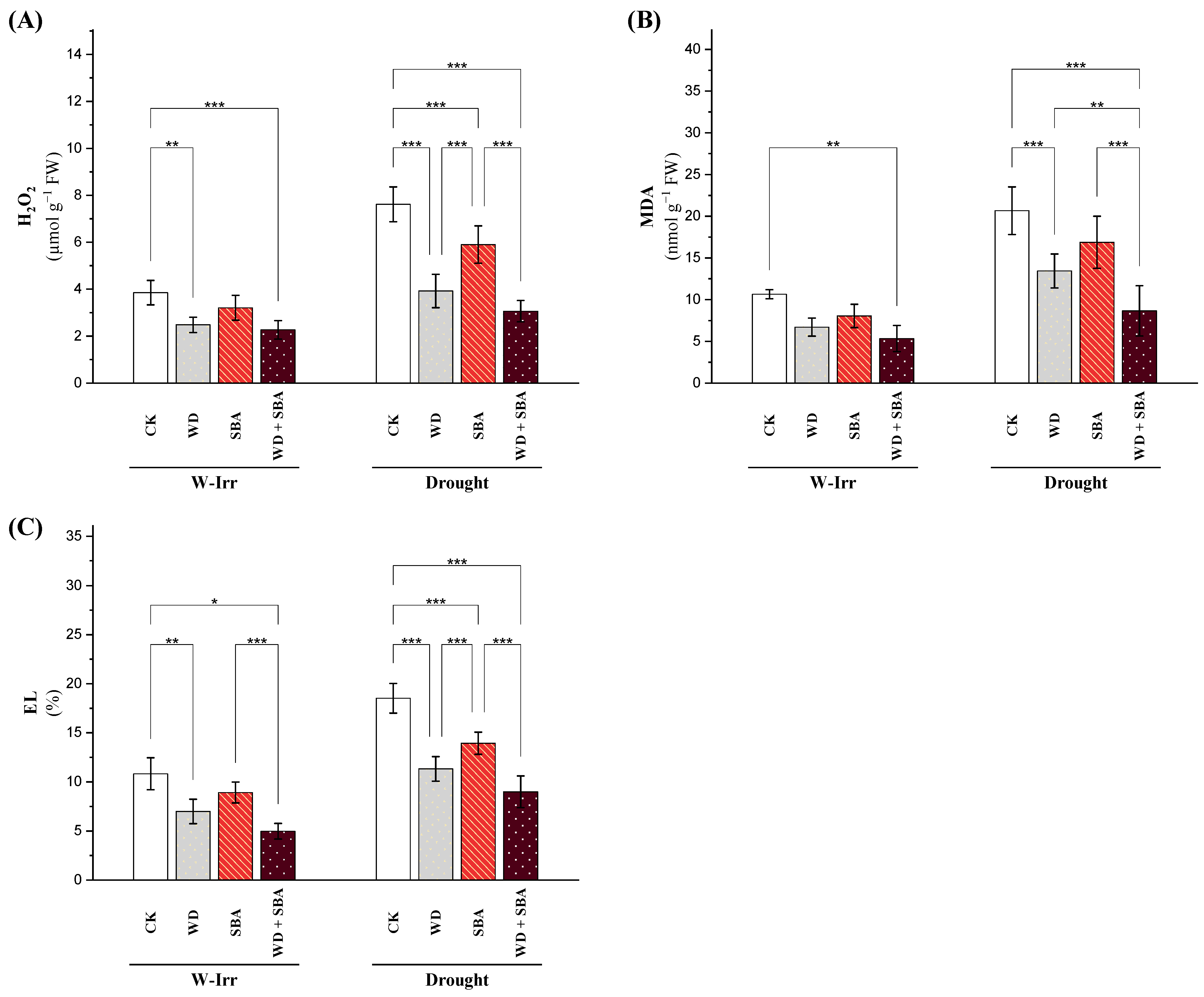 Plants 13 02152 g003