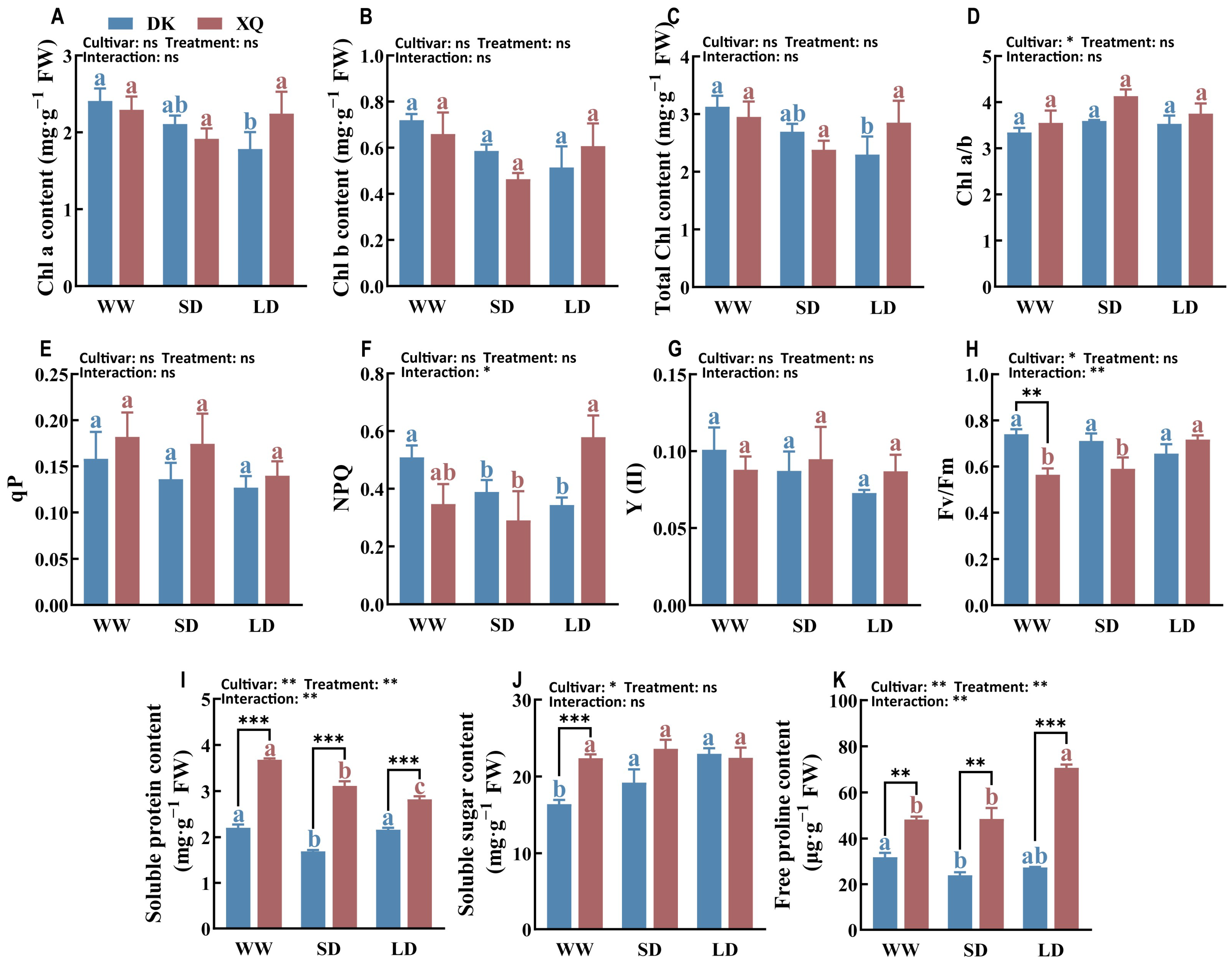 Plants 13 02161 g002 Plants 13 02161 g002