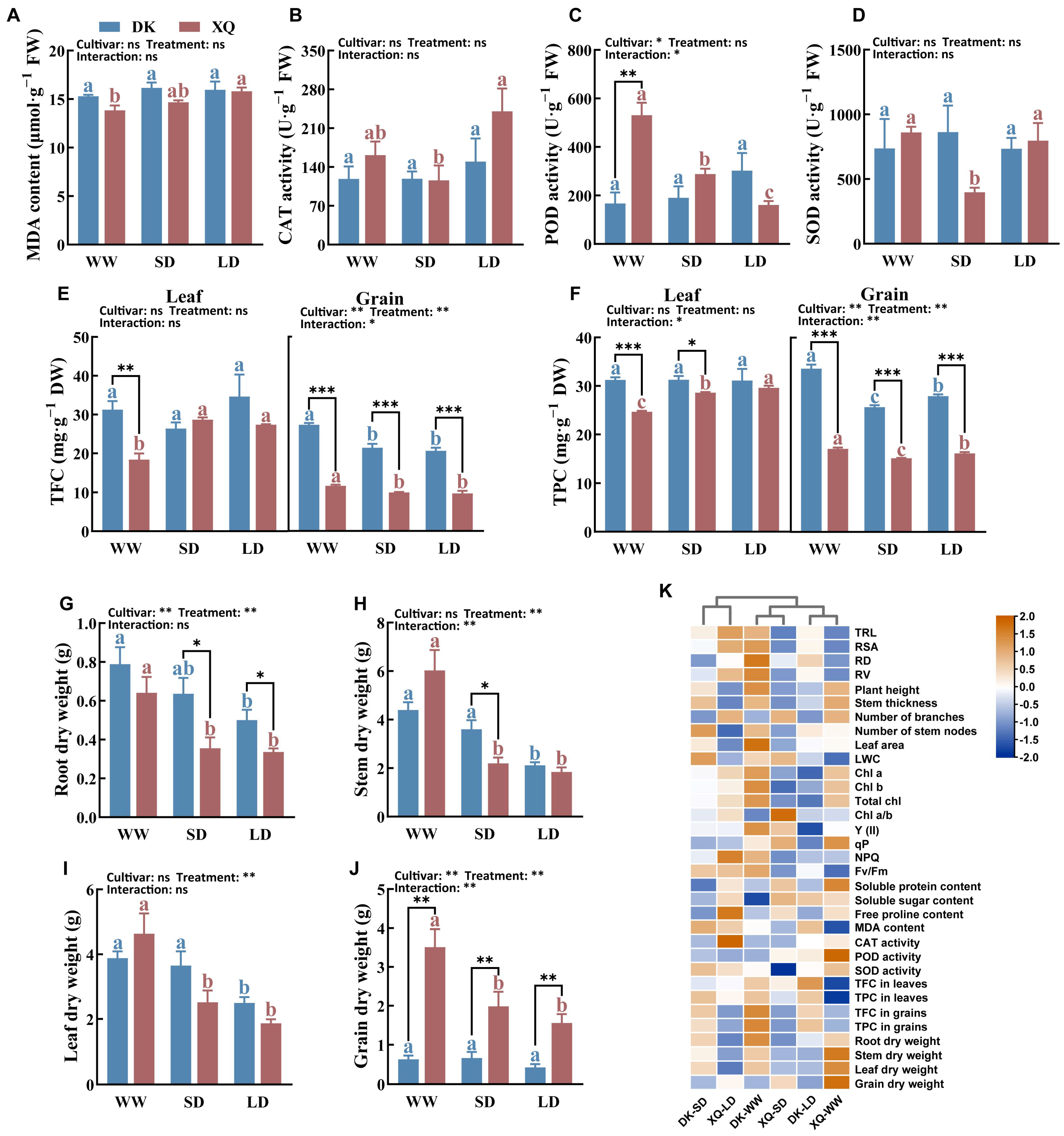 Plants 13 02161 g003 Plants 13 02161 g003