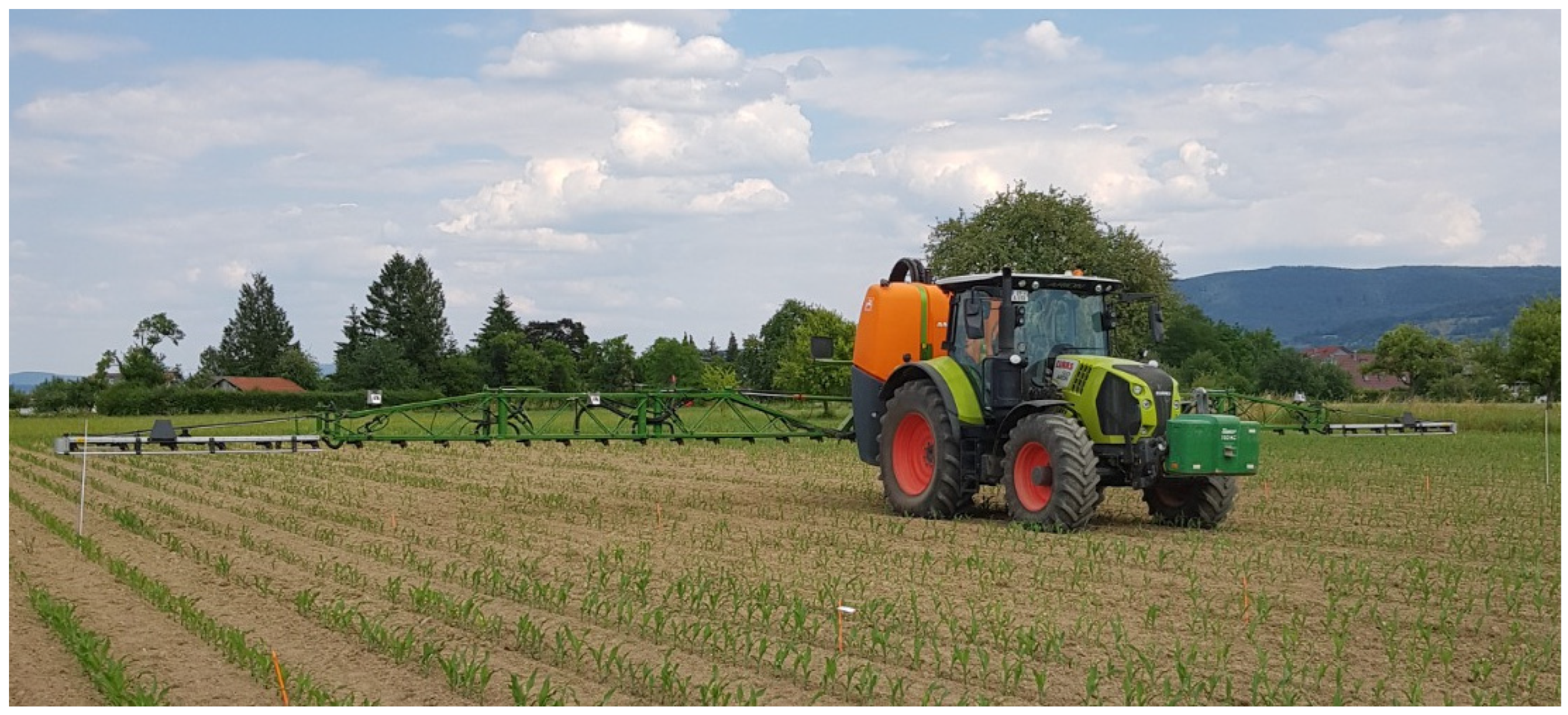 Plants 13 02164 g001