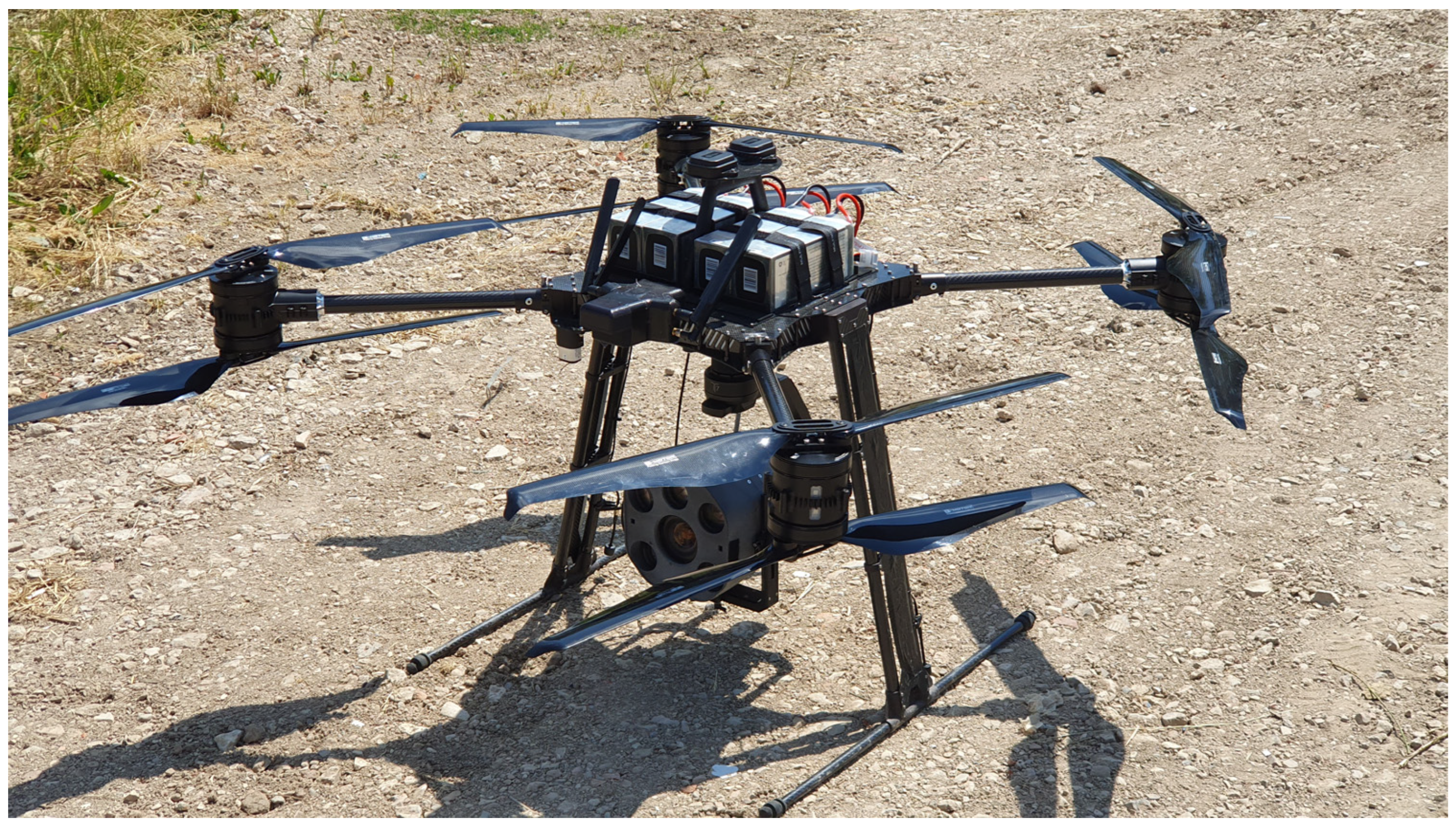 Plants 13 02164 g002