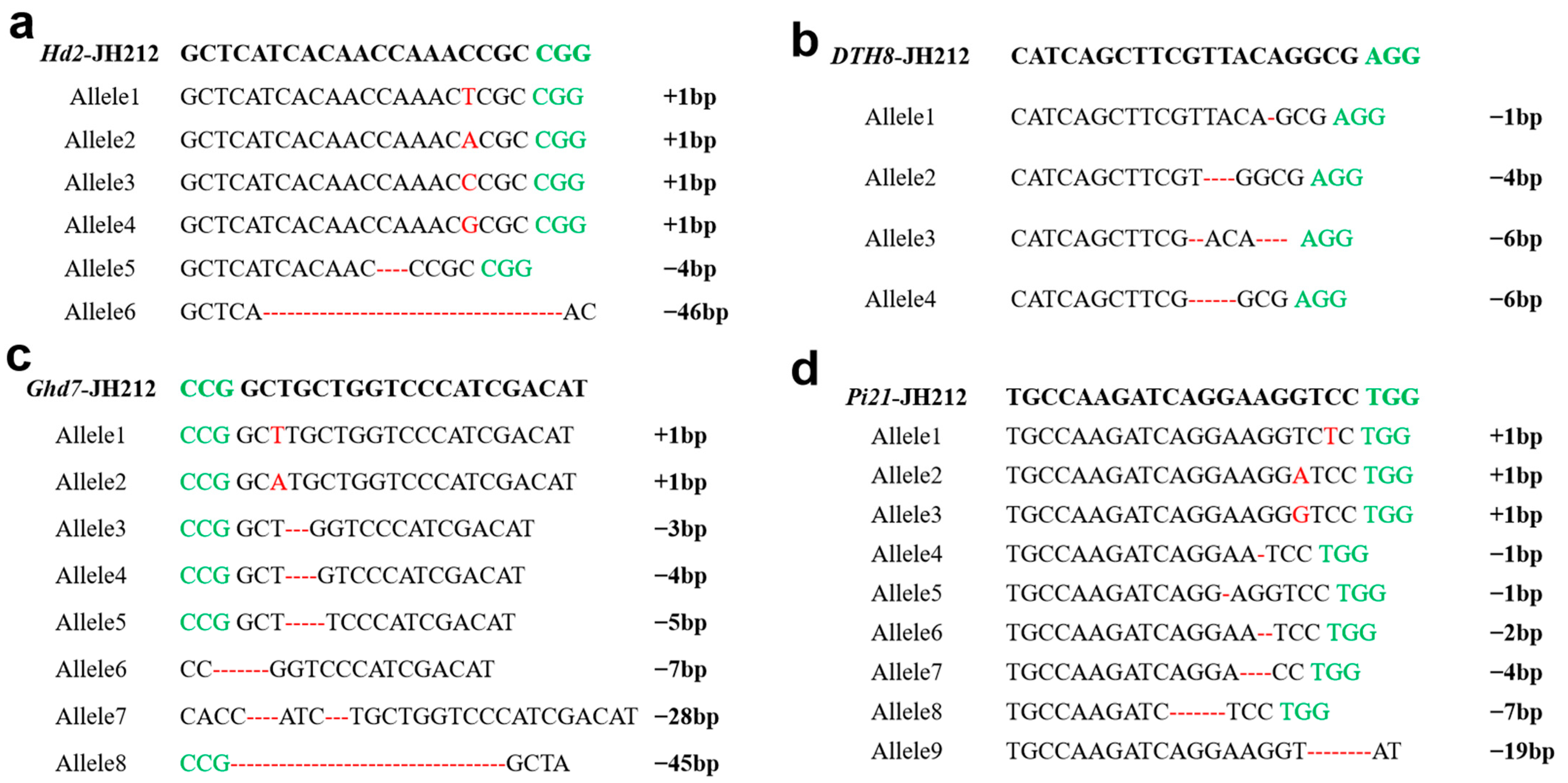 Plants 13 02166 g004