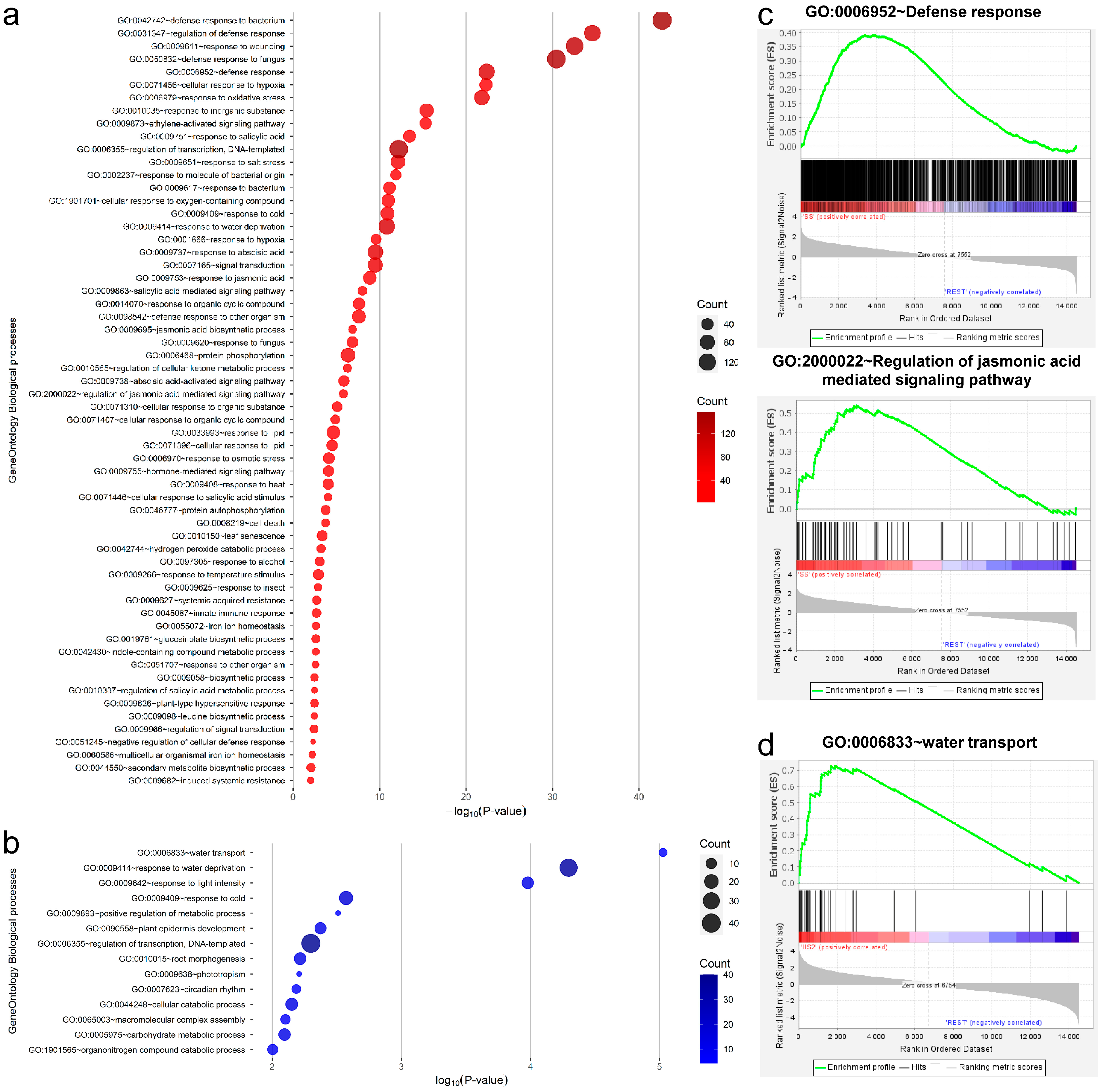 Plants 13 02167 g003 Plants 13 02167 g003