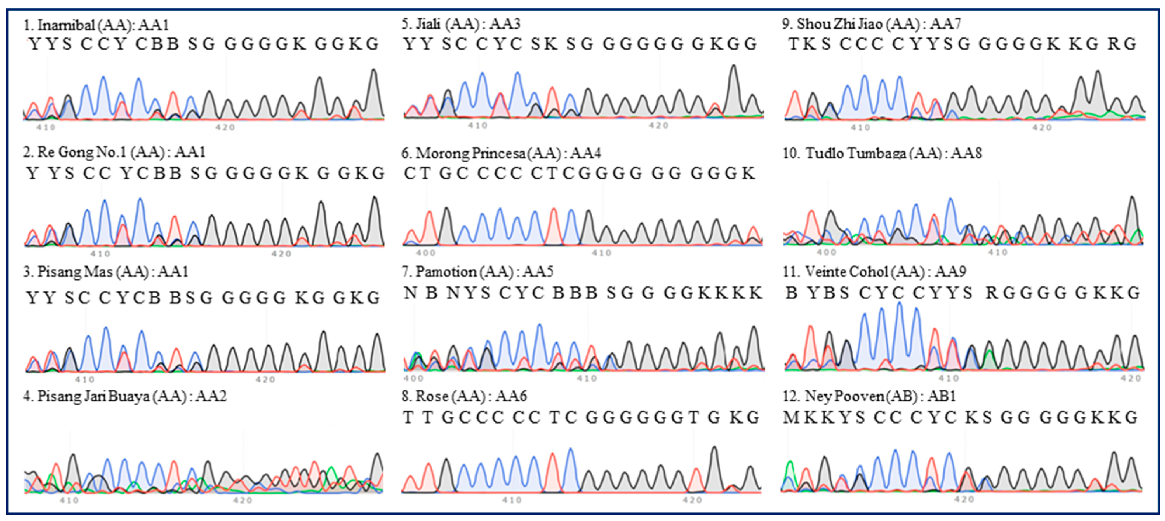 Plants 13 02173 g001 Plants 13 02173 g001