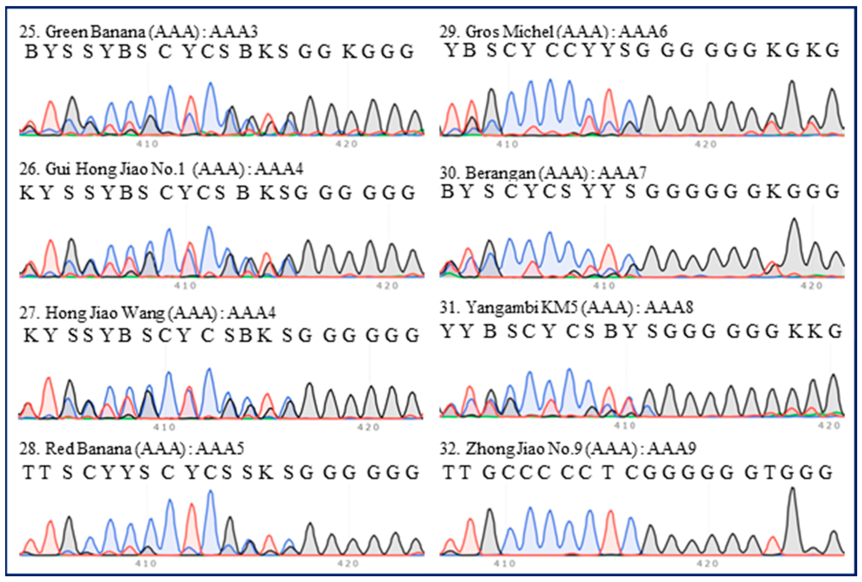 Plants 13 02173 g003 Plants 13 02173 g003