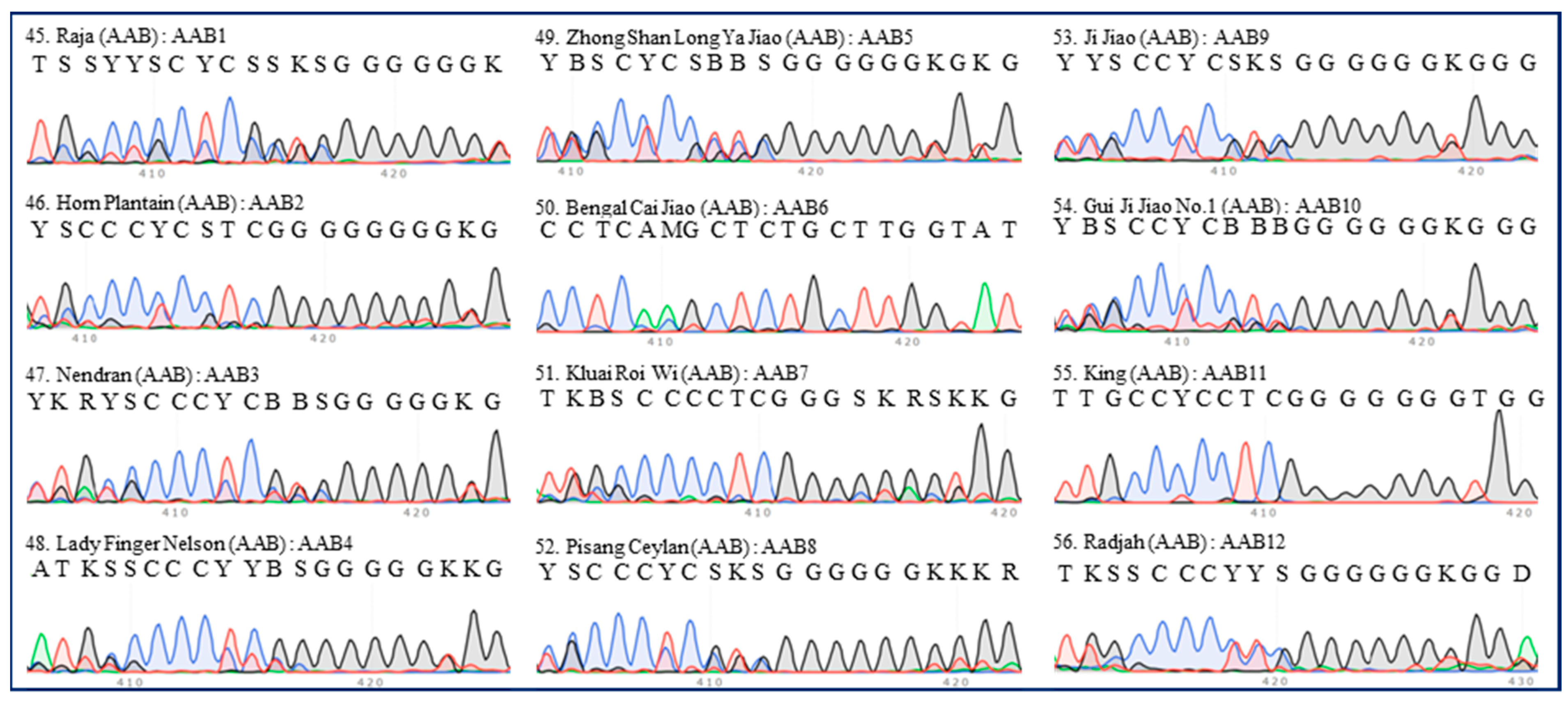 Plants 13 02173 g005 Plants 13 02173 g005