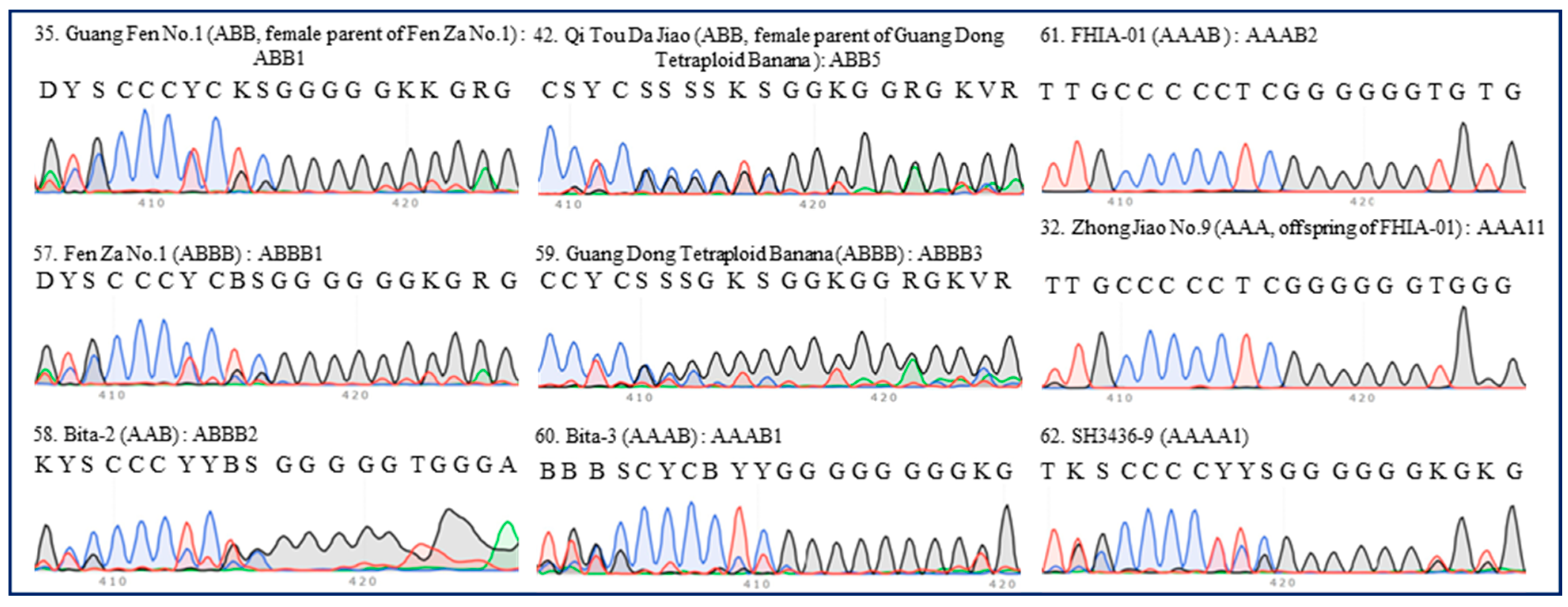 Plants 13 02173 g006 Plants 13 02173 g006
