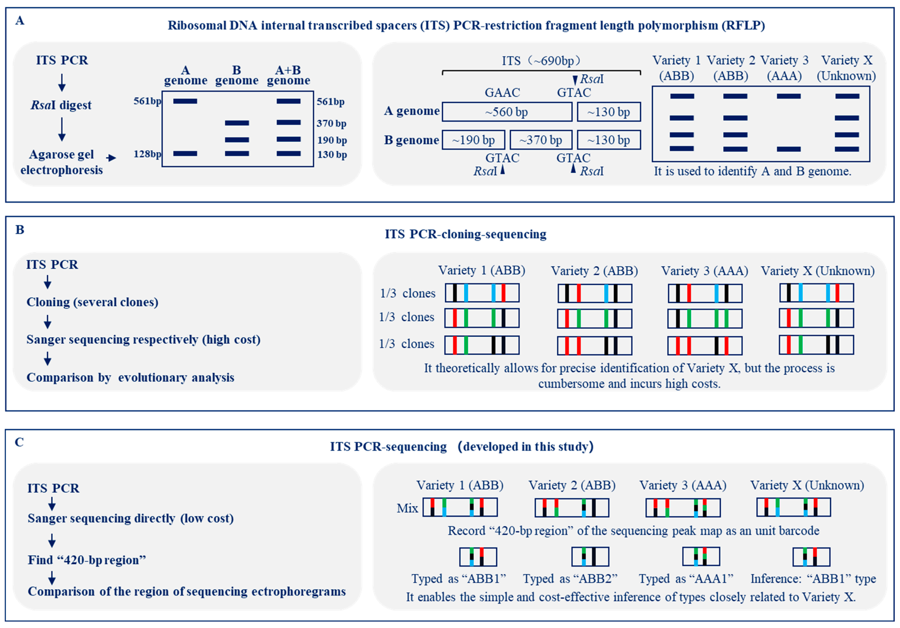 Plants 13 02173 g007 Plants 13 02173 g007