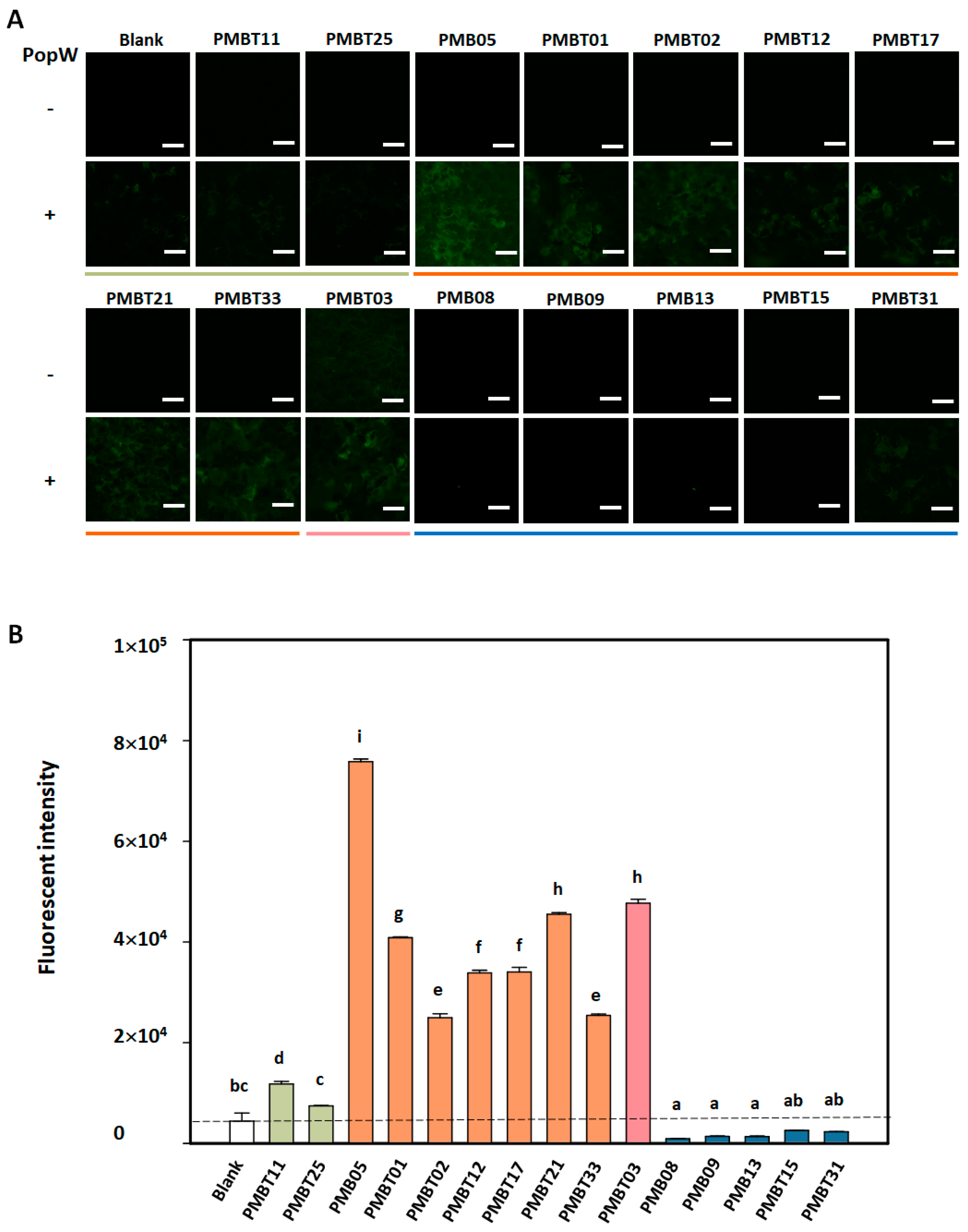 Plants 13 02185 g005