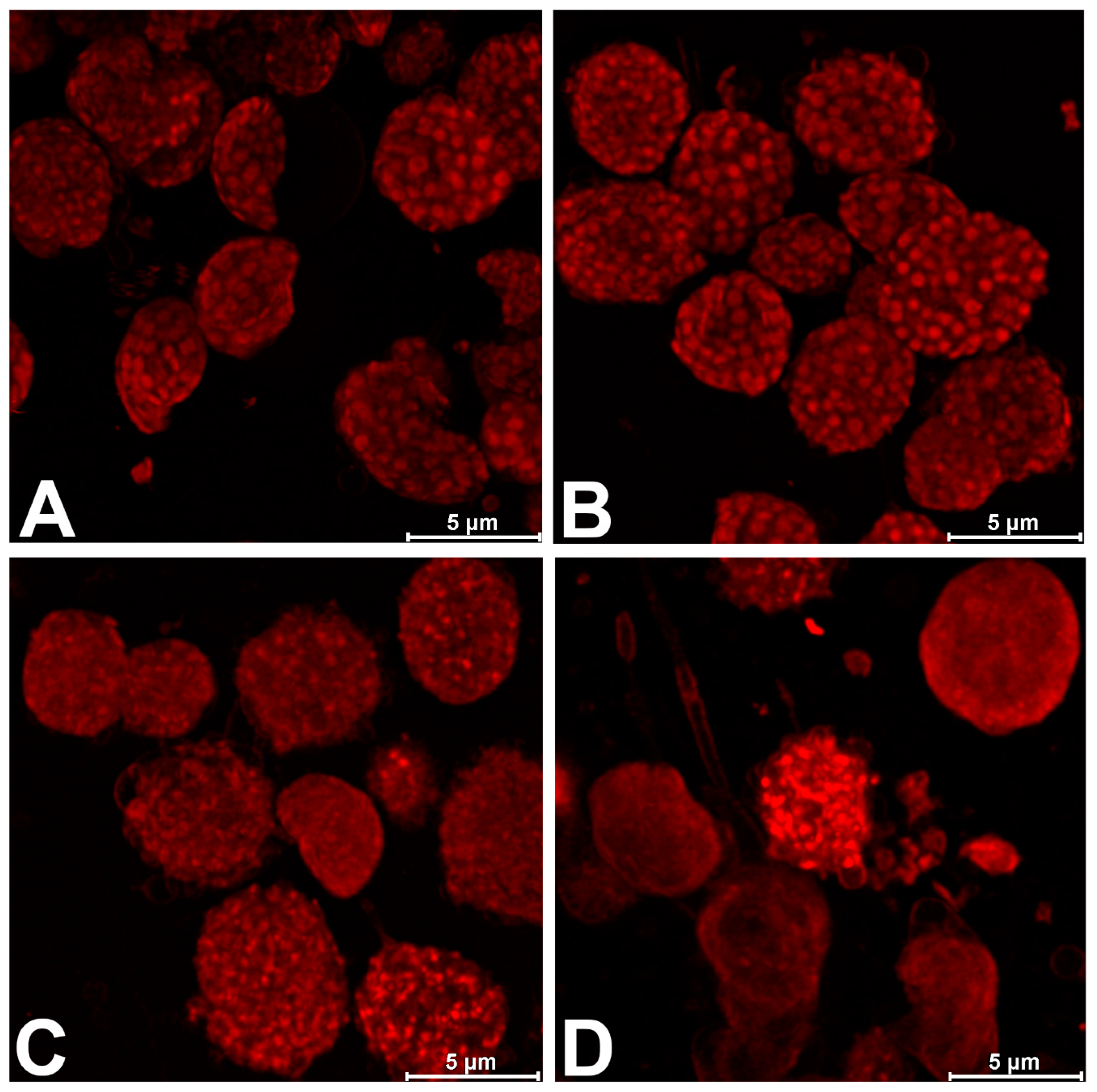 Plants 13 02189 g003