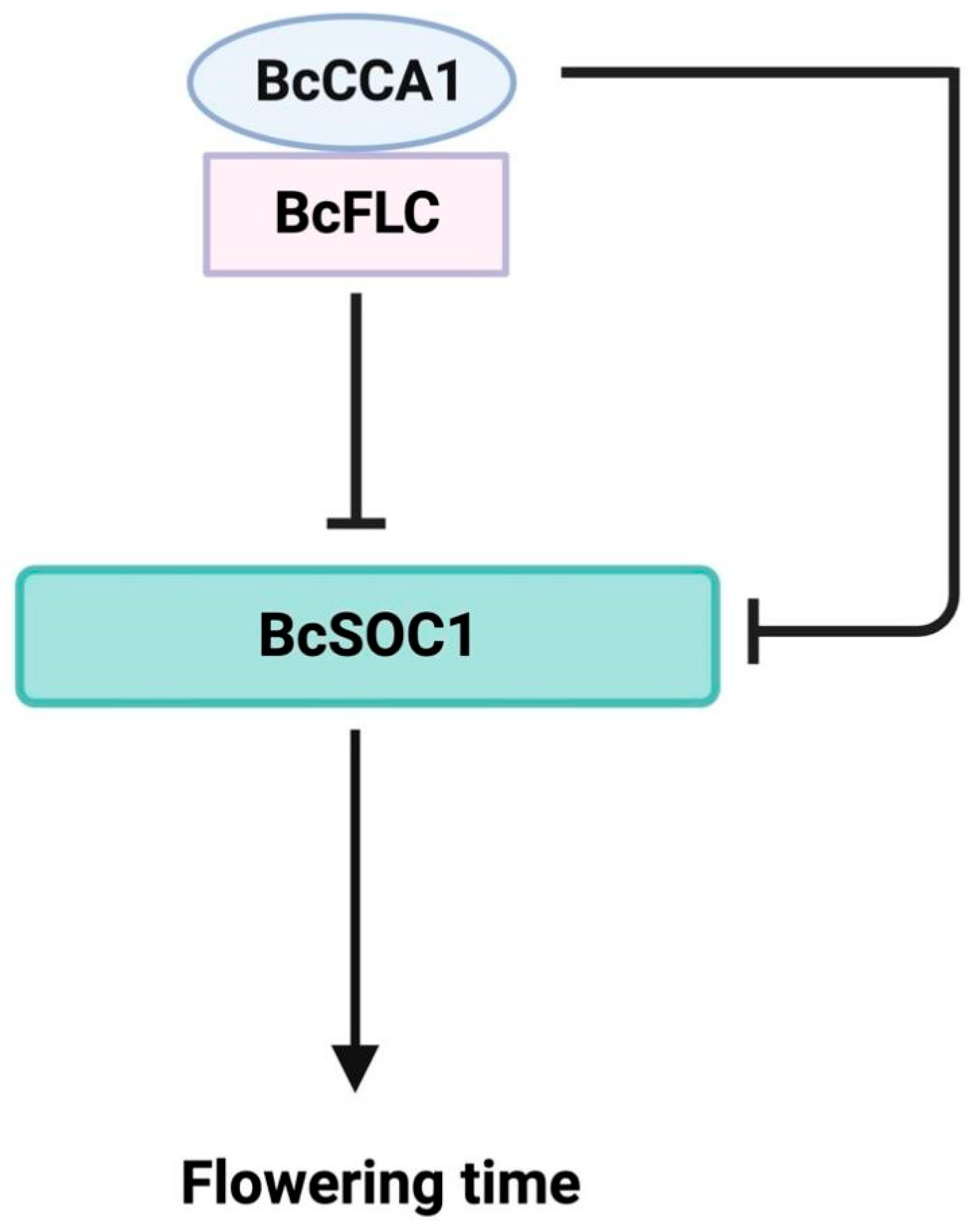 Plants 13 02190 g006 Plants 13 02190 g006