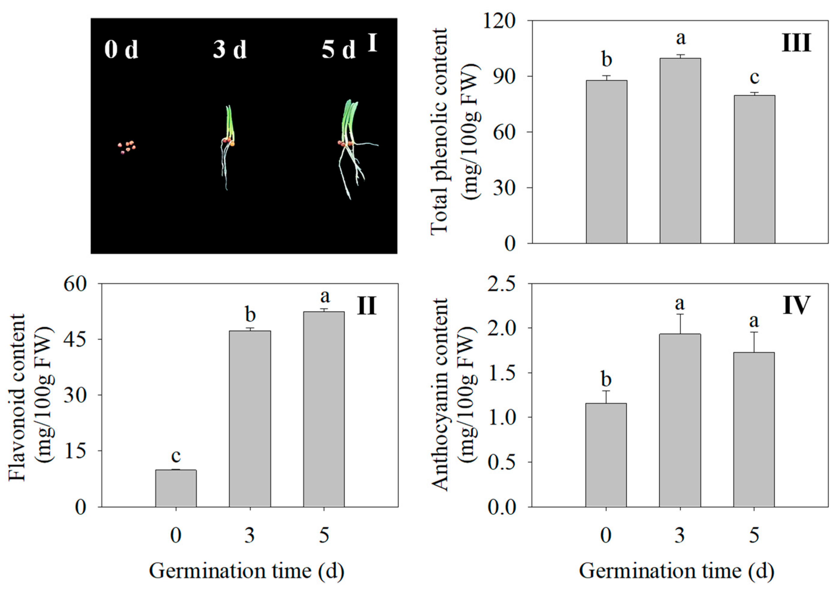 Plants 13 02191 g002