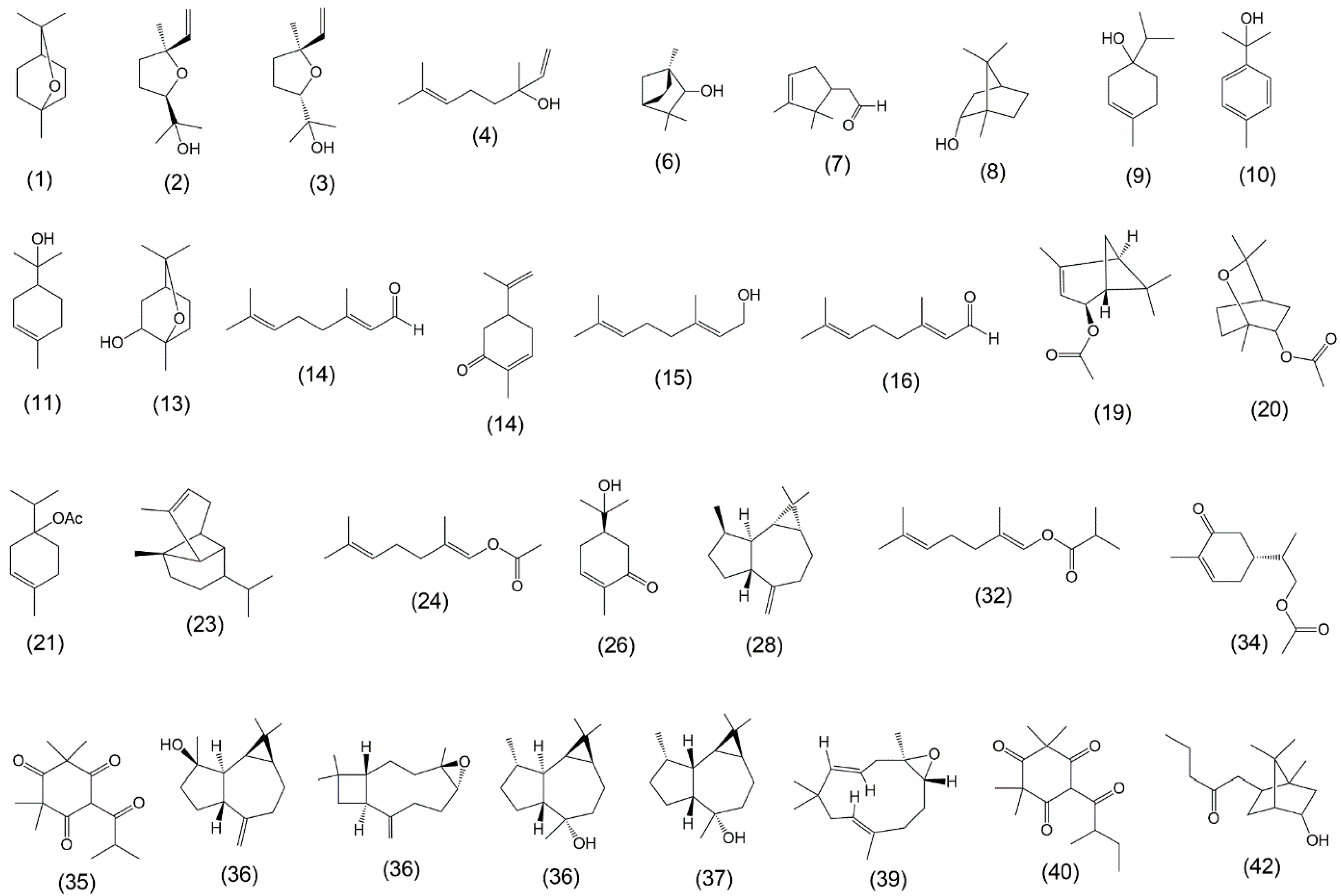 Plants 13 02192 g002