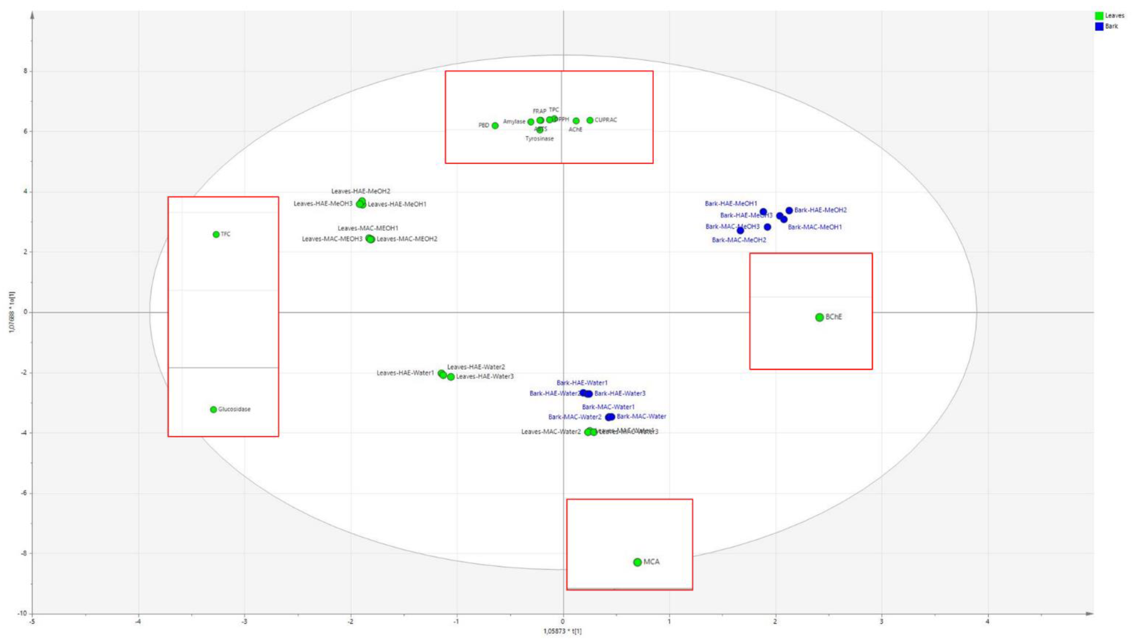 Plants 13 02195 g003