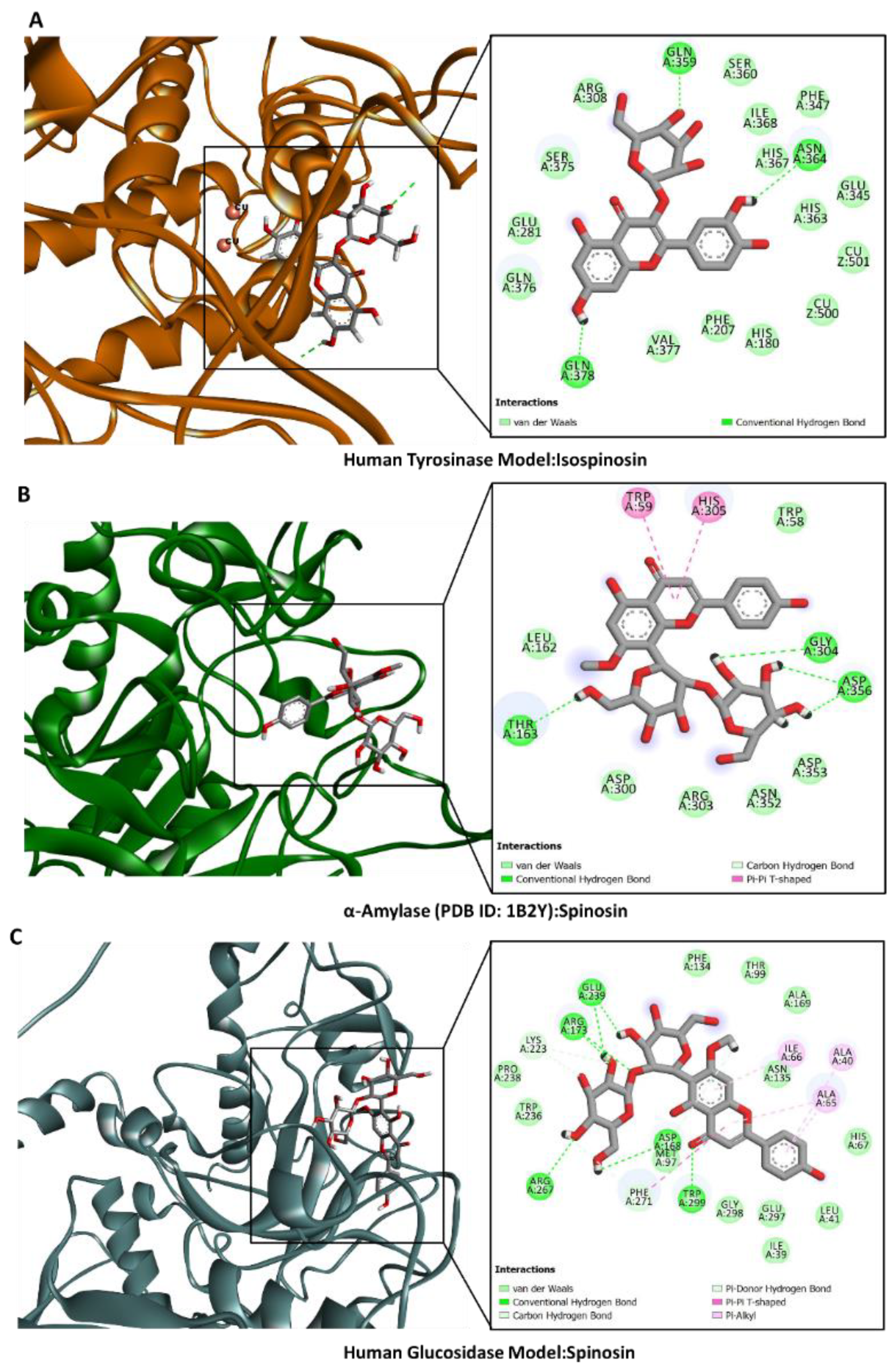 Plants 13 02195 g006