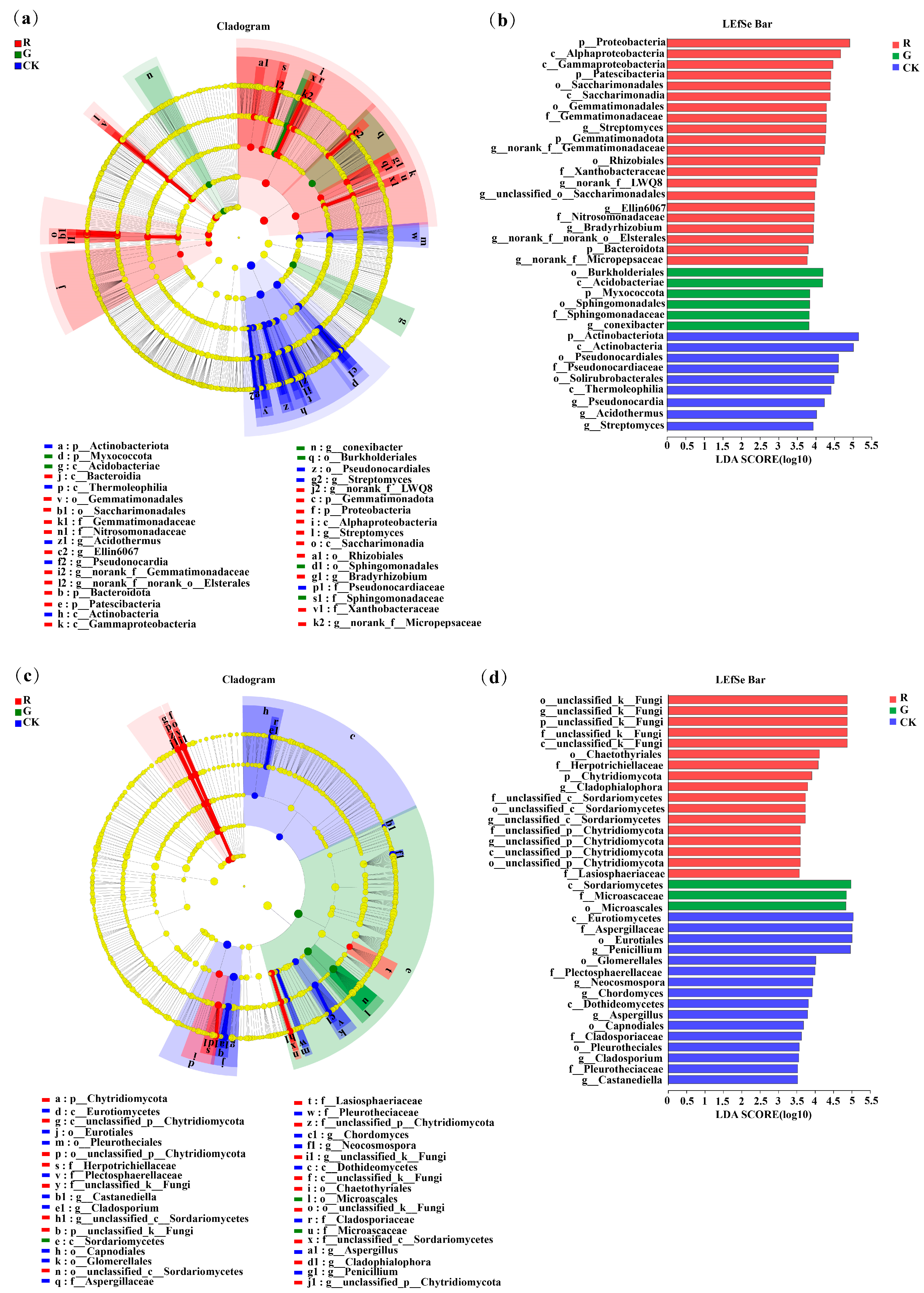 Plants 13 02200 g004